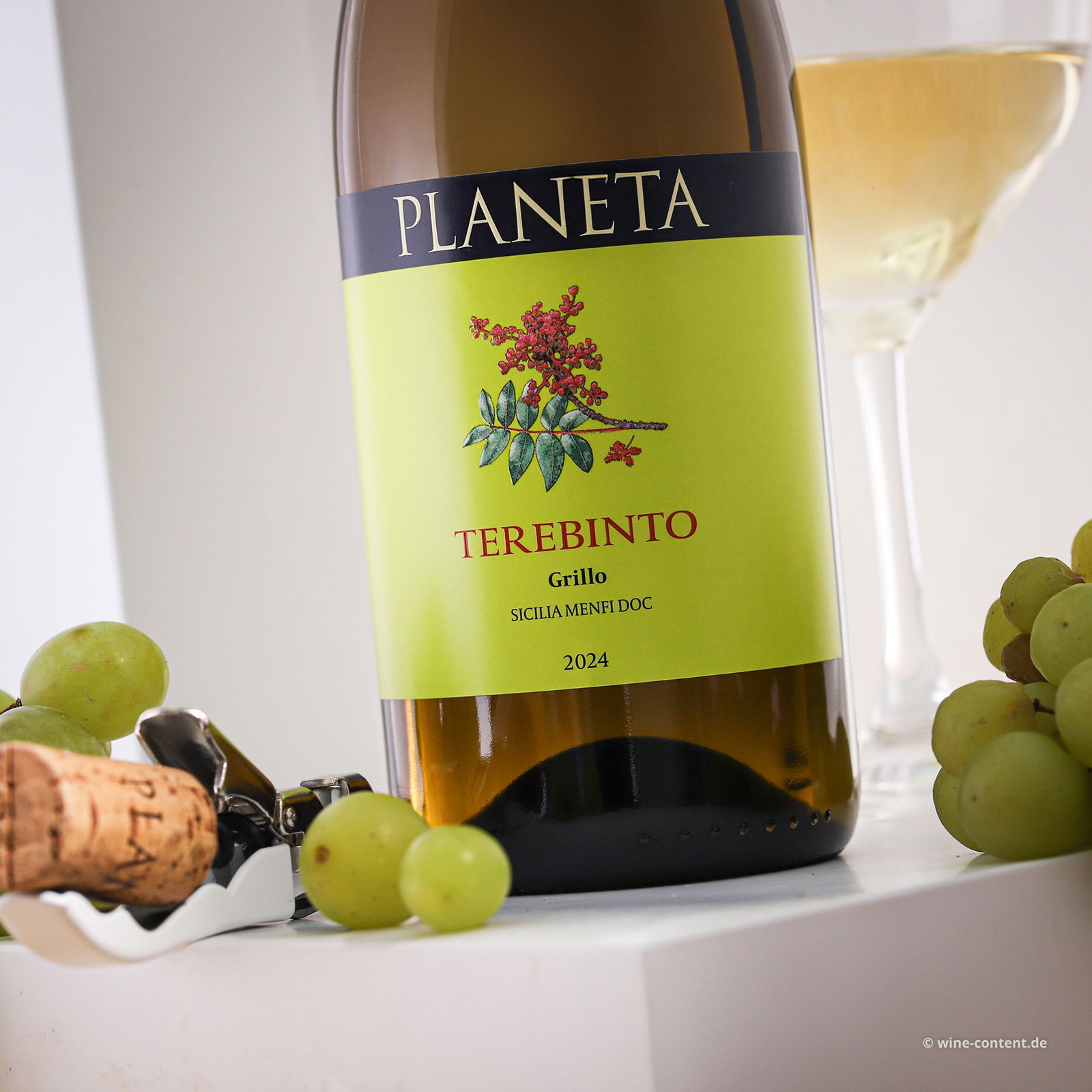 Grillo Sicilia Menfi 2024 Terebinto Bio