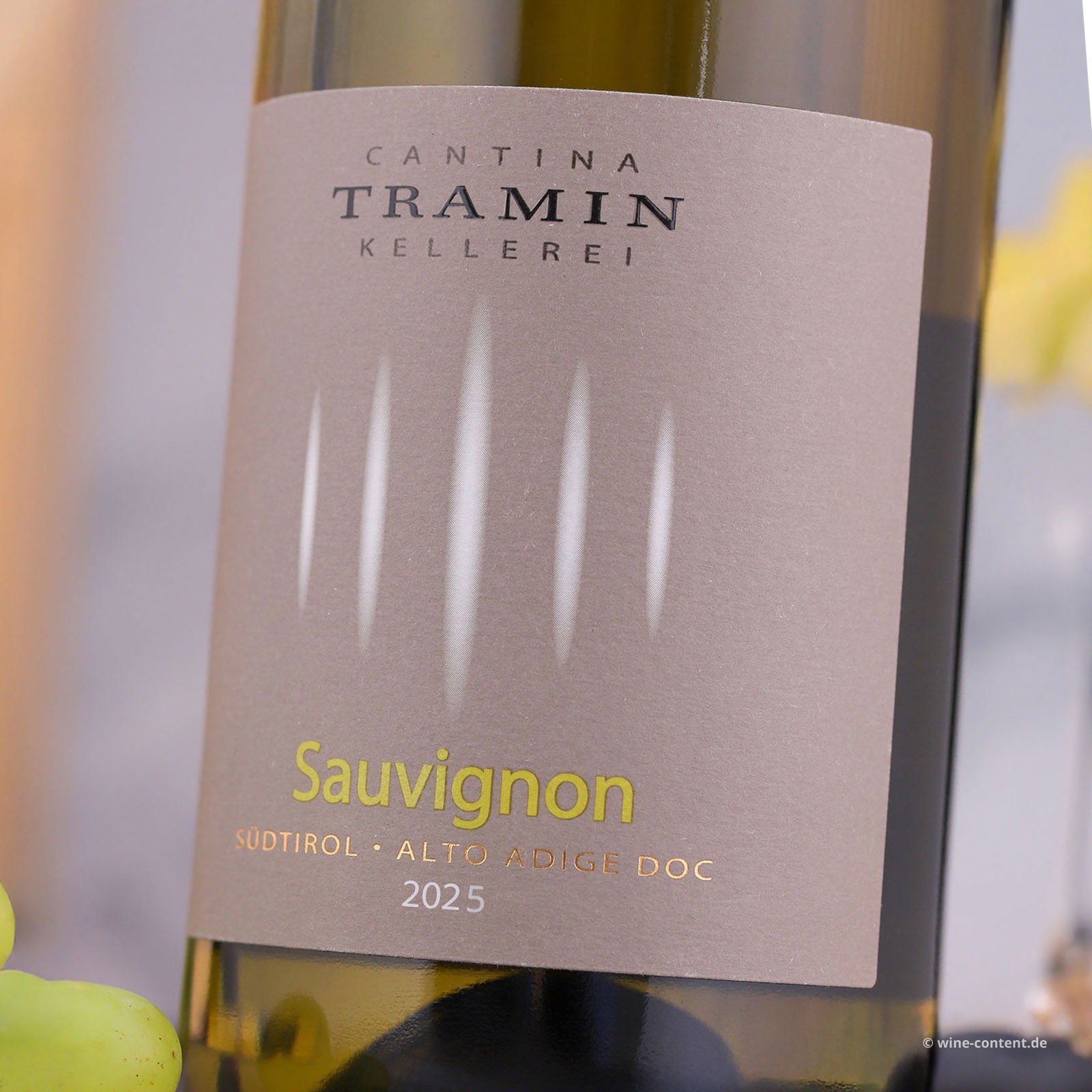 Sauvignon 2025 Classic