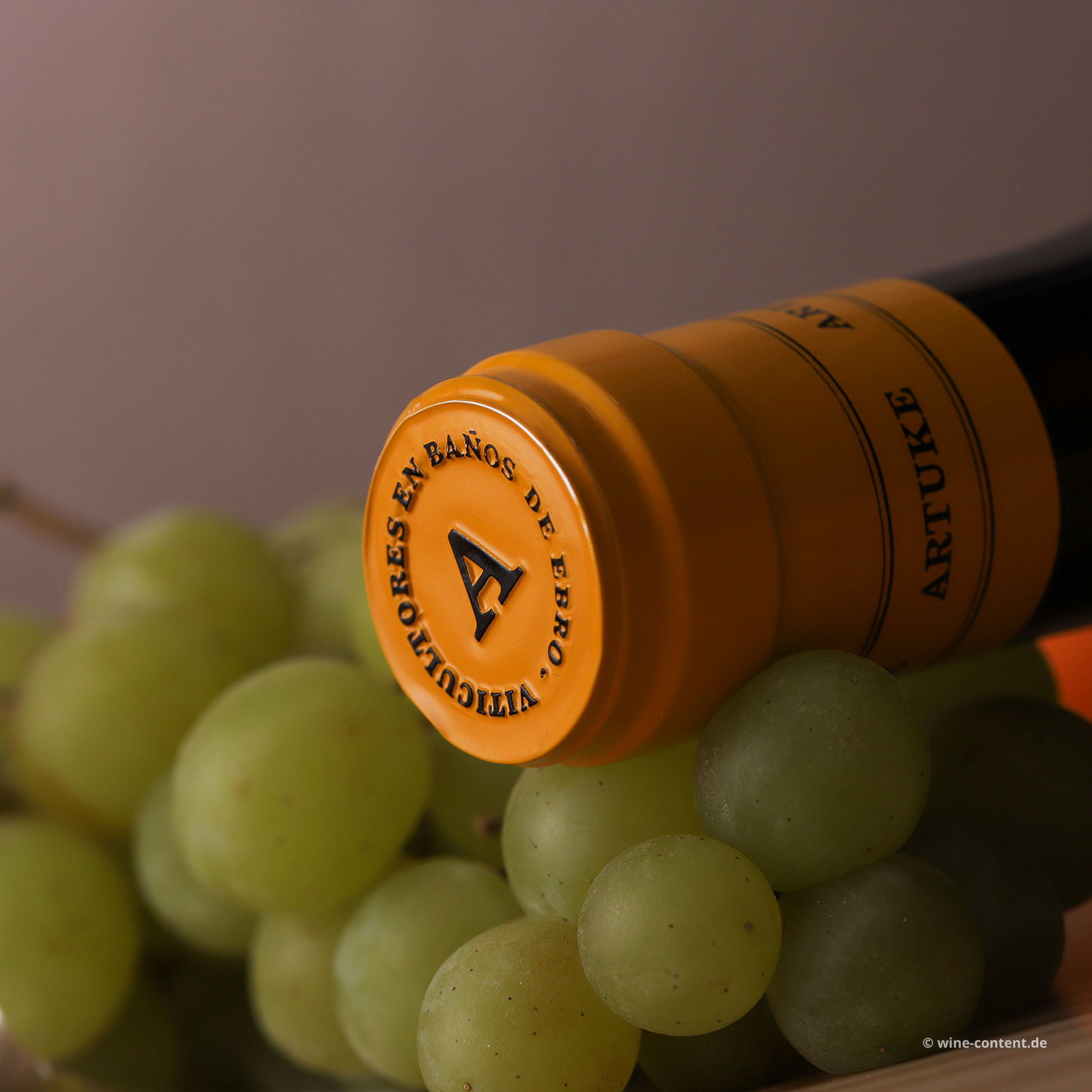 Rioja Blanco 2022 Trascuevas Bio