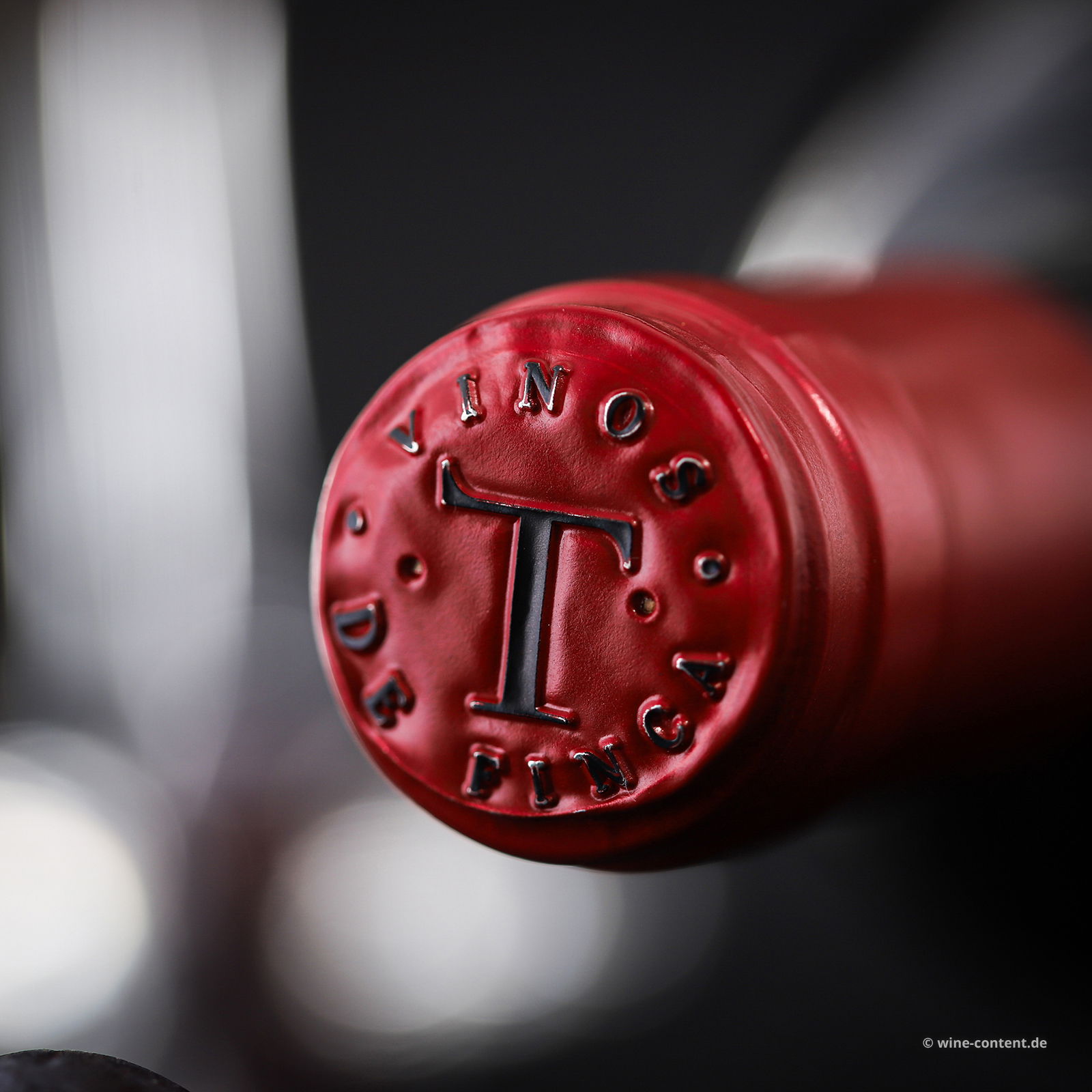 Tempranillo 2021 Punto Geodésico