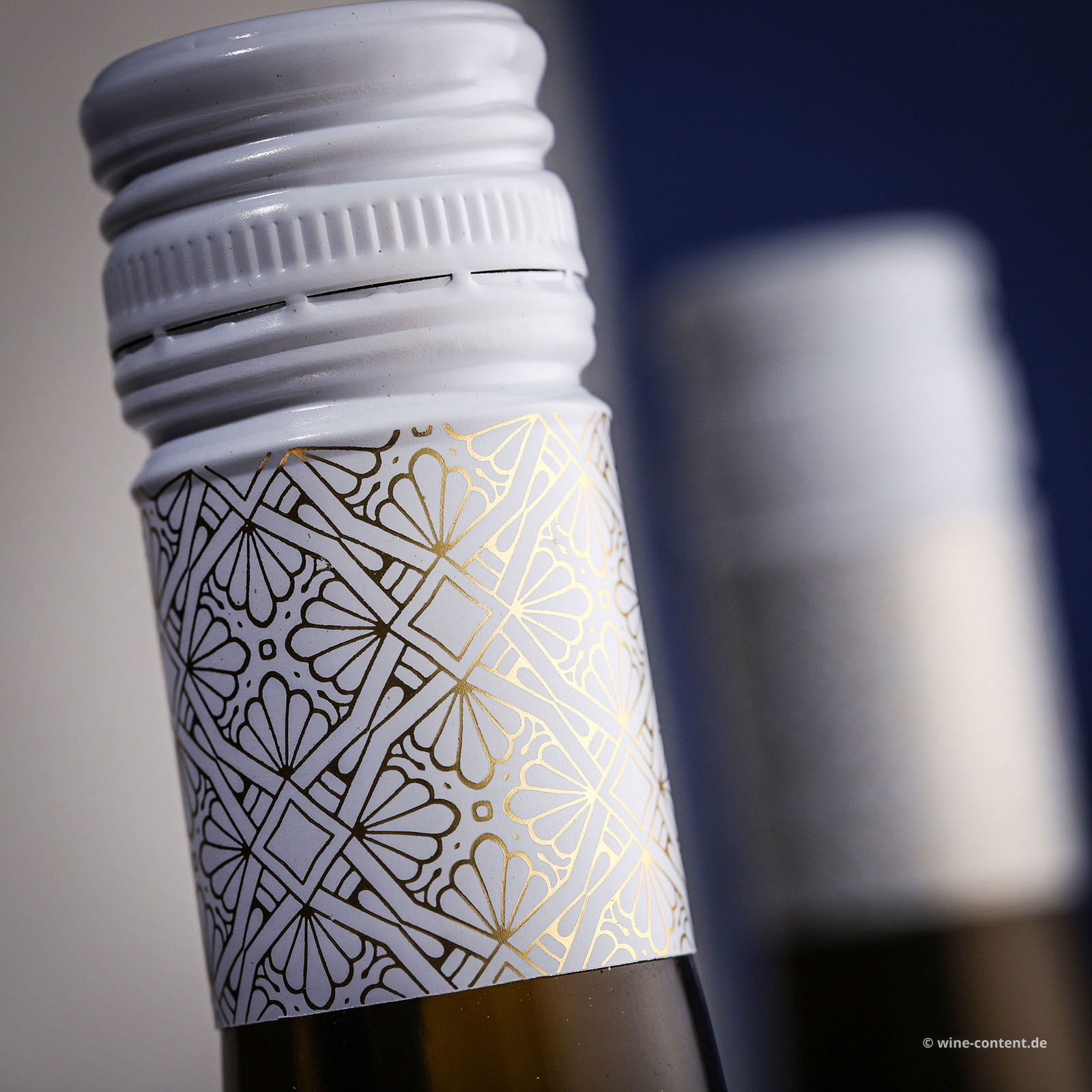 Grauburgunder 2023 Gönnheim Bio