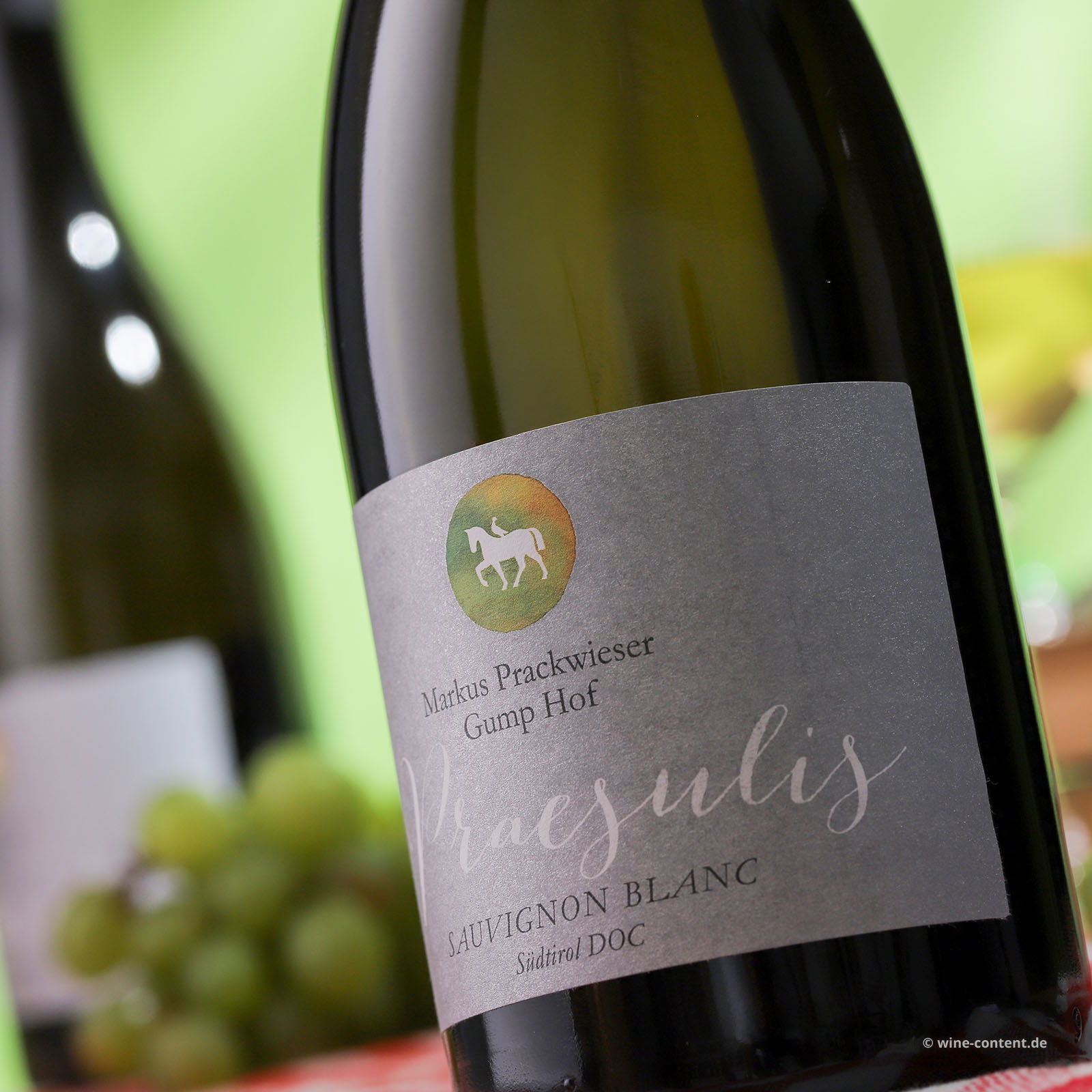 Sauvignon Blanc 2023 Praesulis