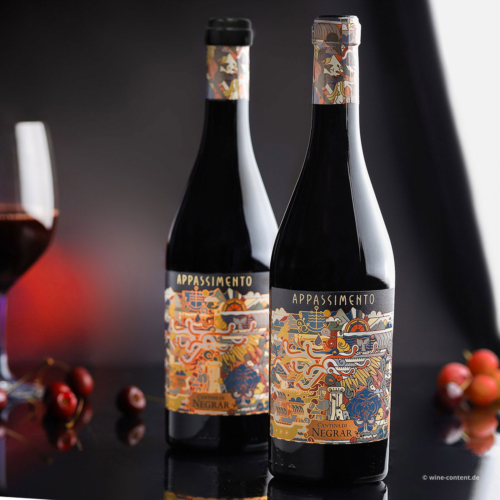 Rosso Veneto 2024 Appassimento