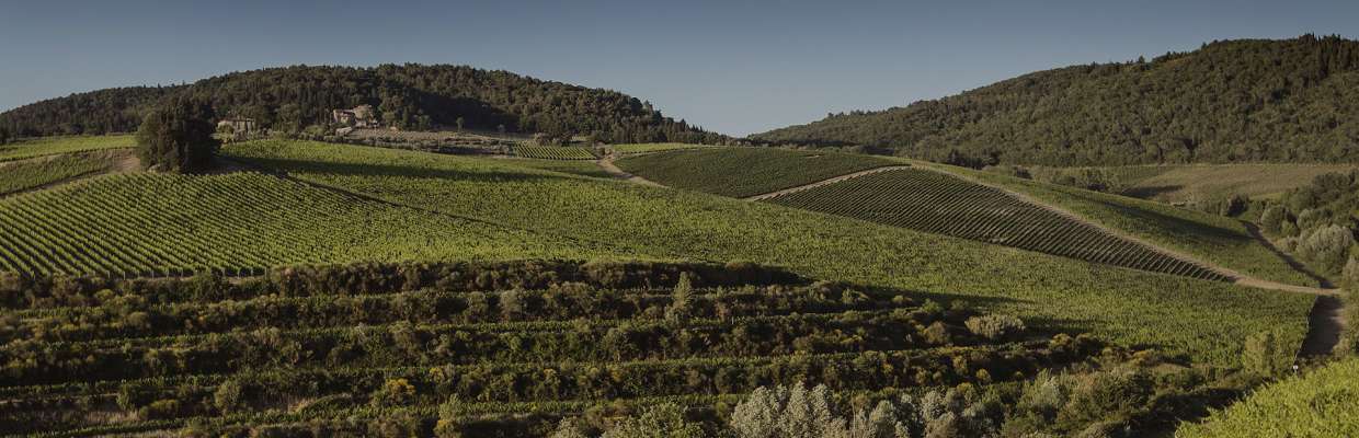 Antinori