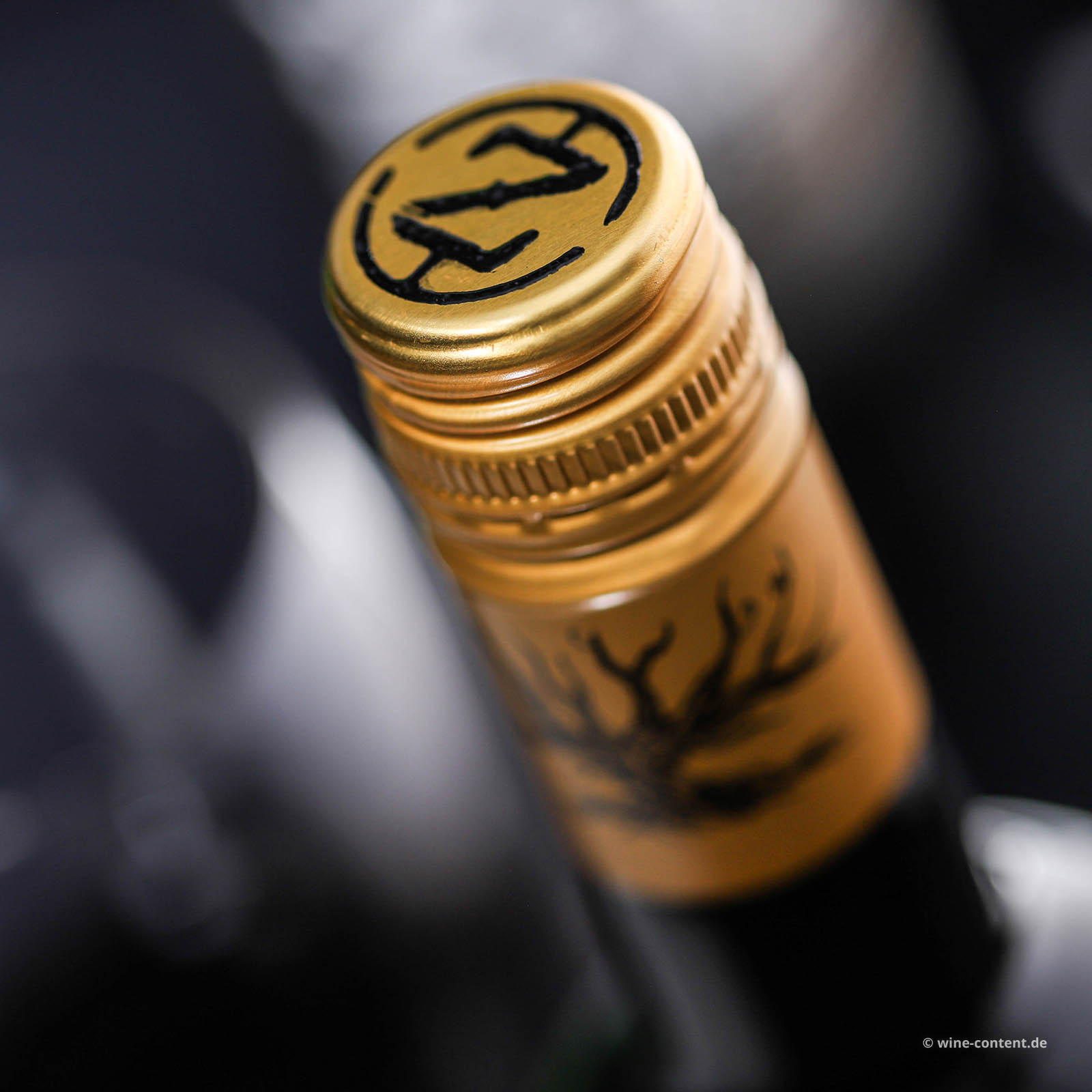 Zinfandel 2025 Wanted