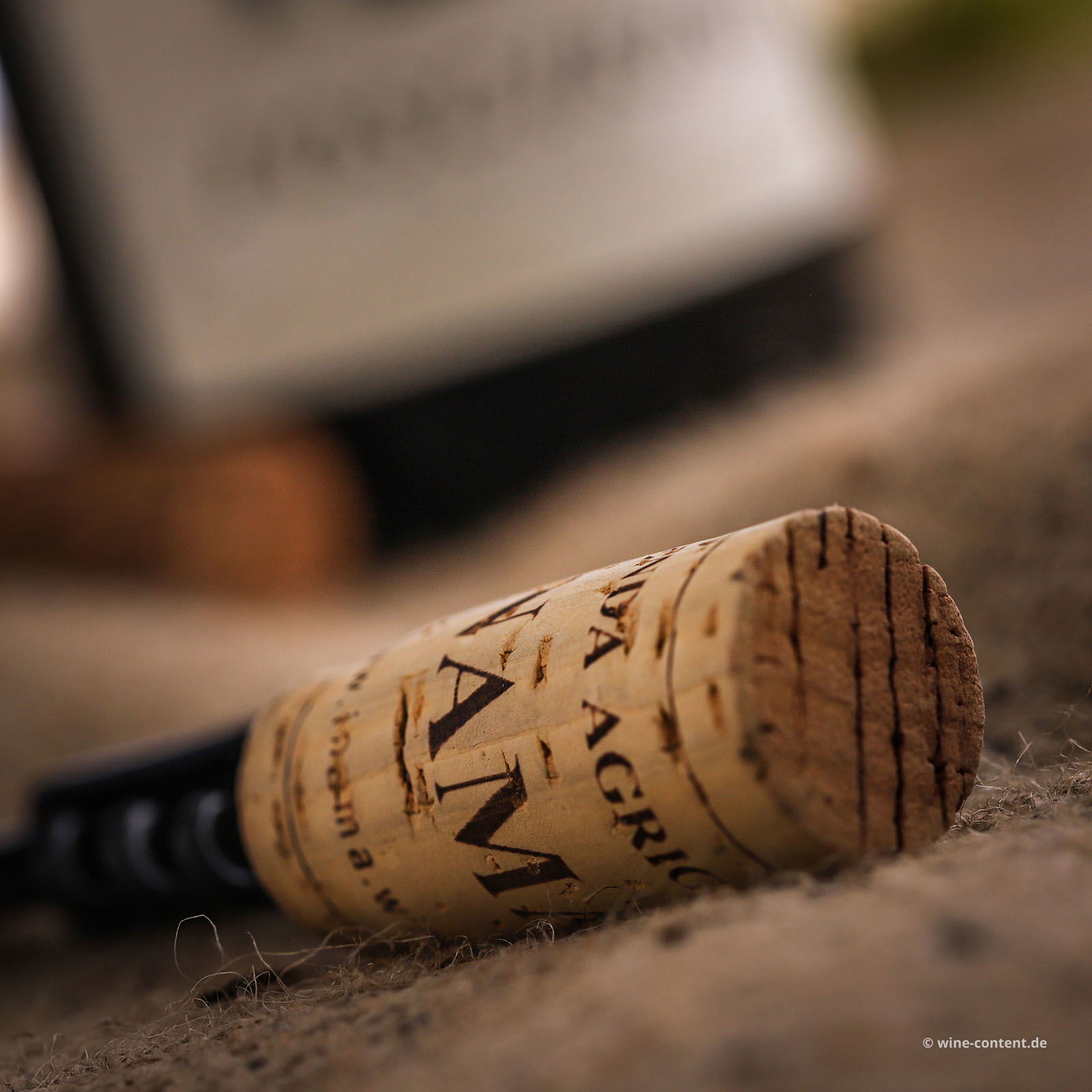 Soave Classico 2022 Foscarino