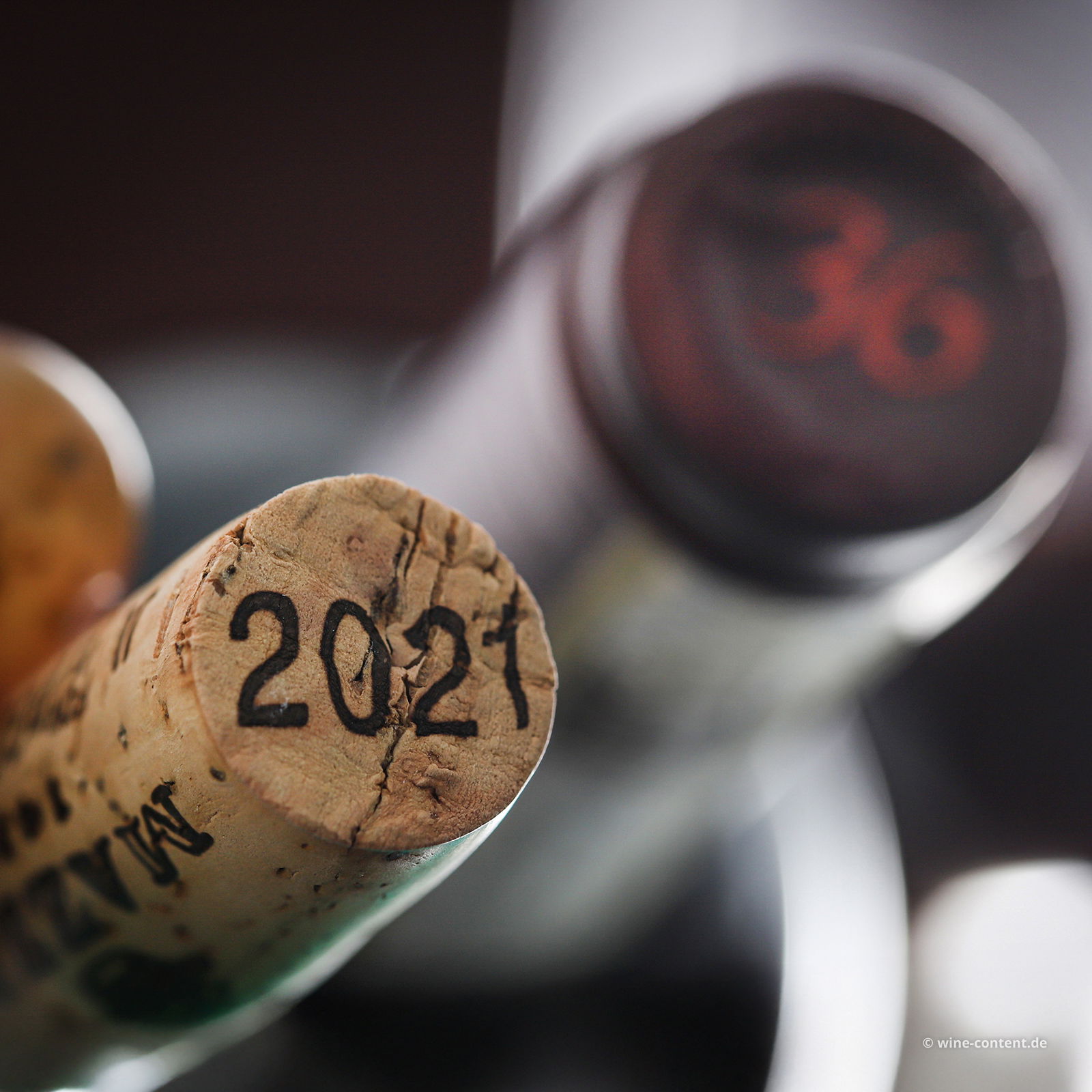 Chianti Classico Gran Selezione 2021 Vicoregio 36