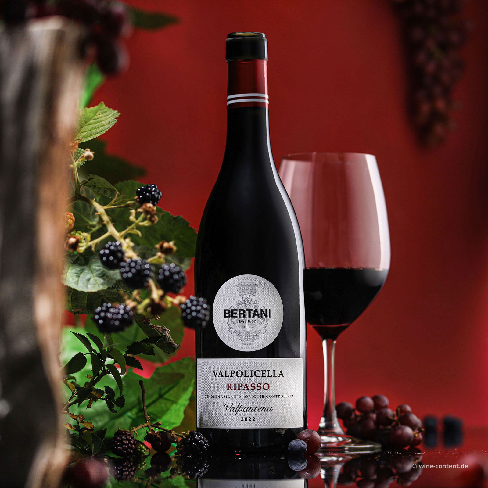 Valpolicella Ripasso Valpantena 2022