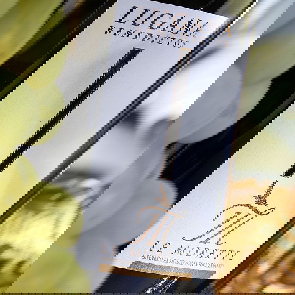 Lugana 2024 Benedictus