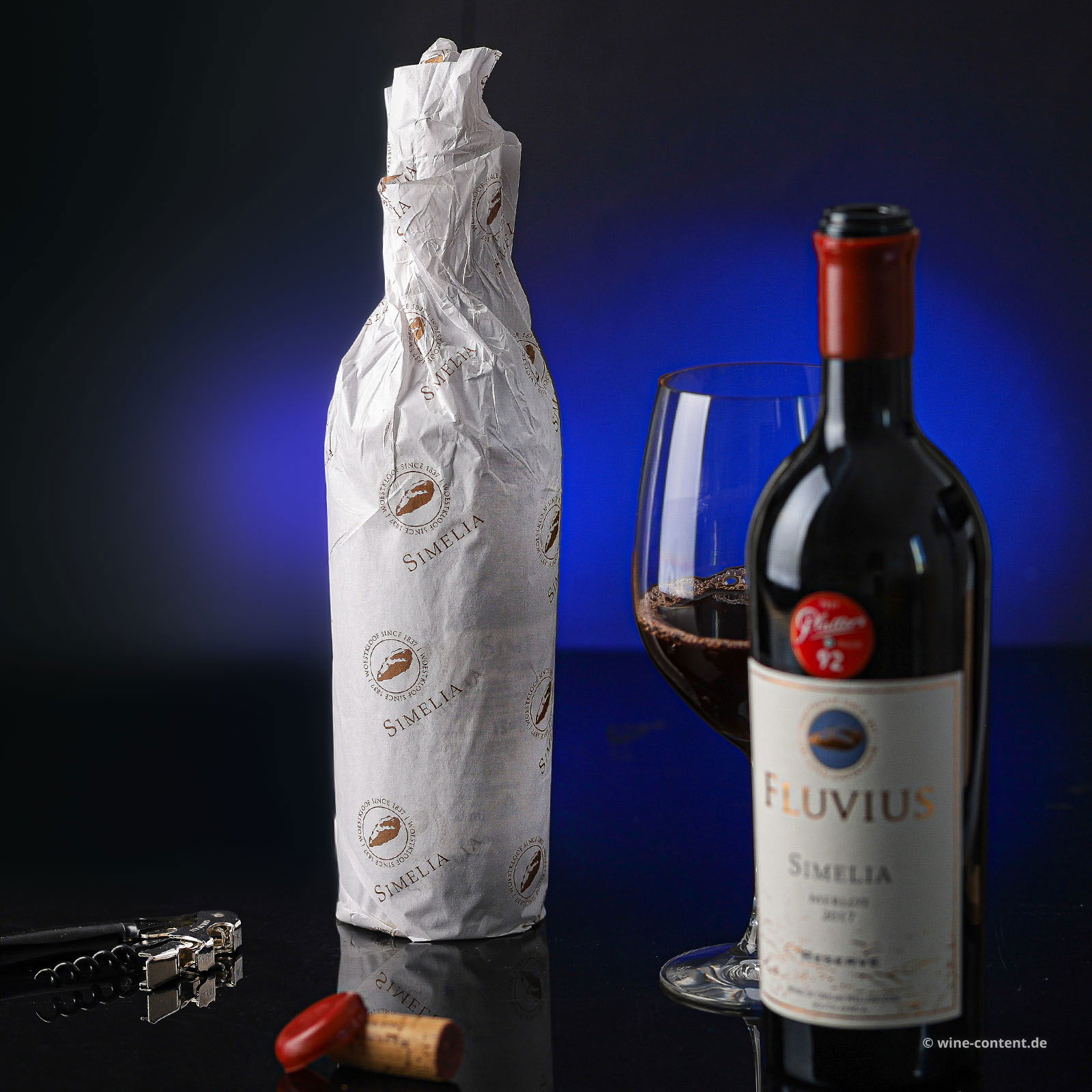 Merlot Reserve 2017 Fluvius