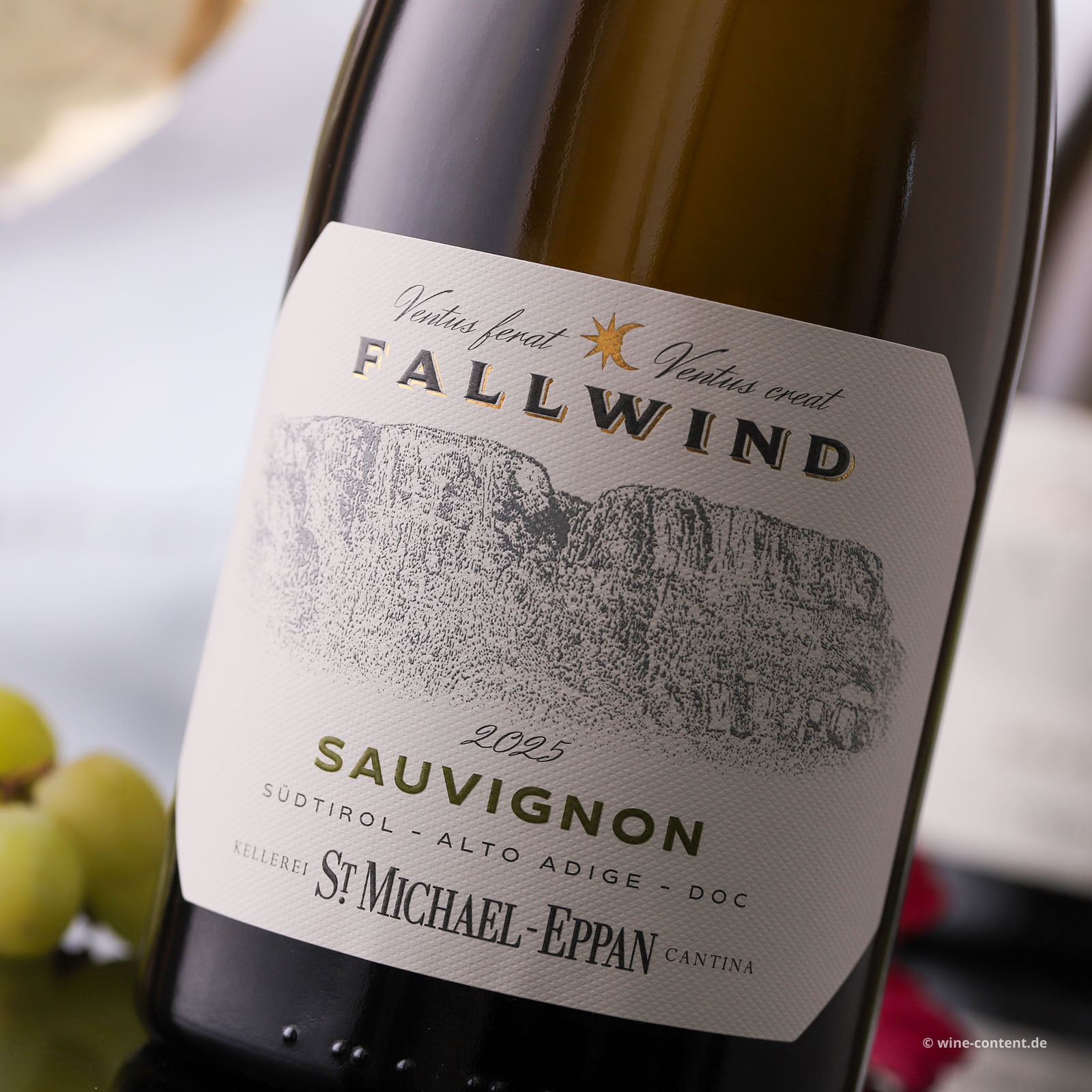 Sauvignon Blanc 2025 Fallwind