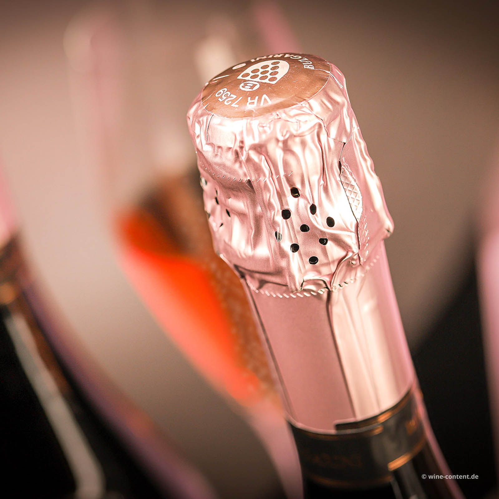 Spumante Garda Rosé Perlage Brut