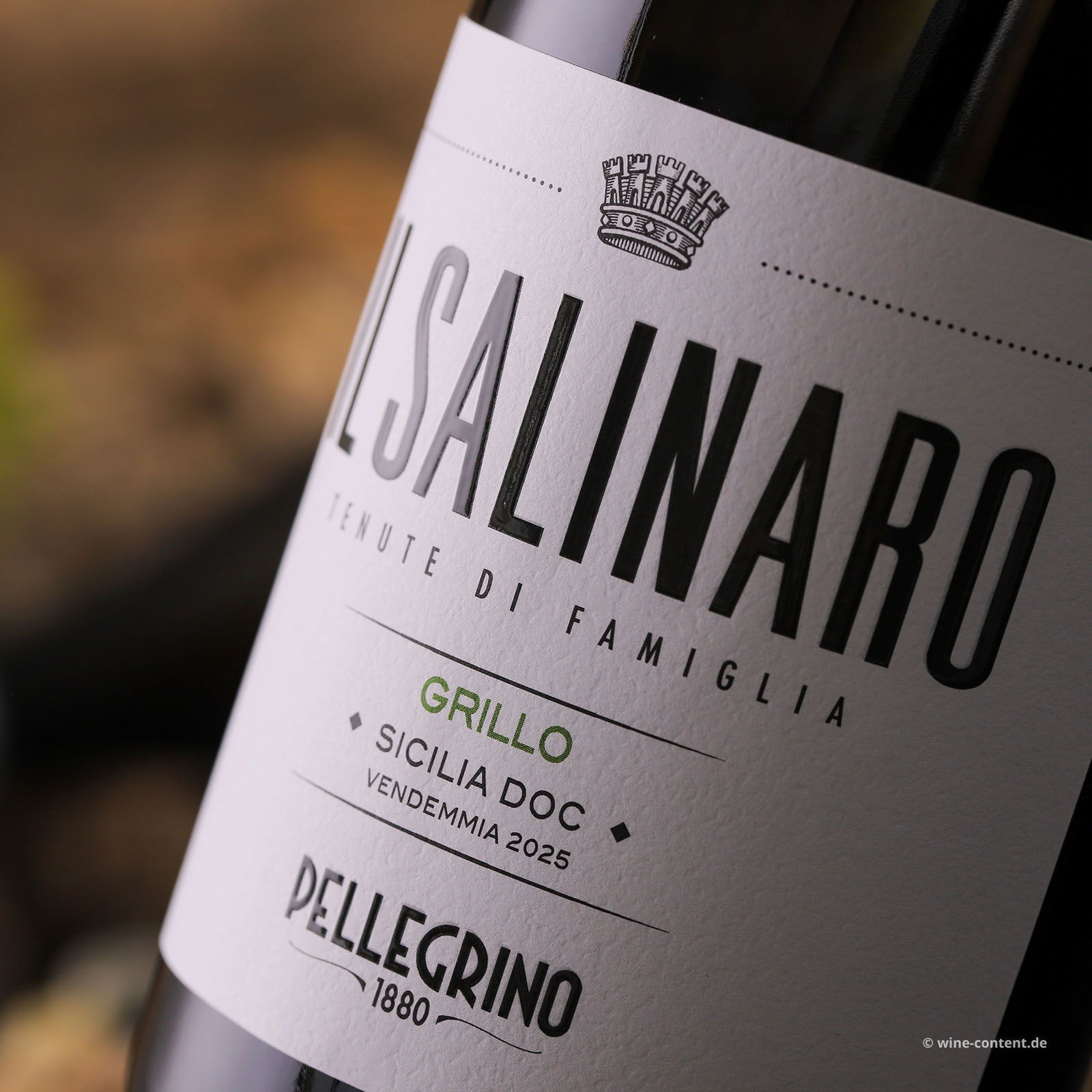 Grillo Sicilia 2025 Il Salinaro