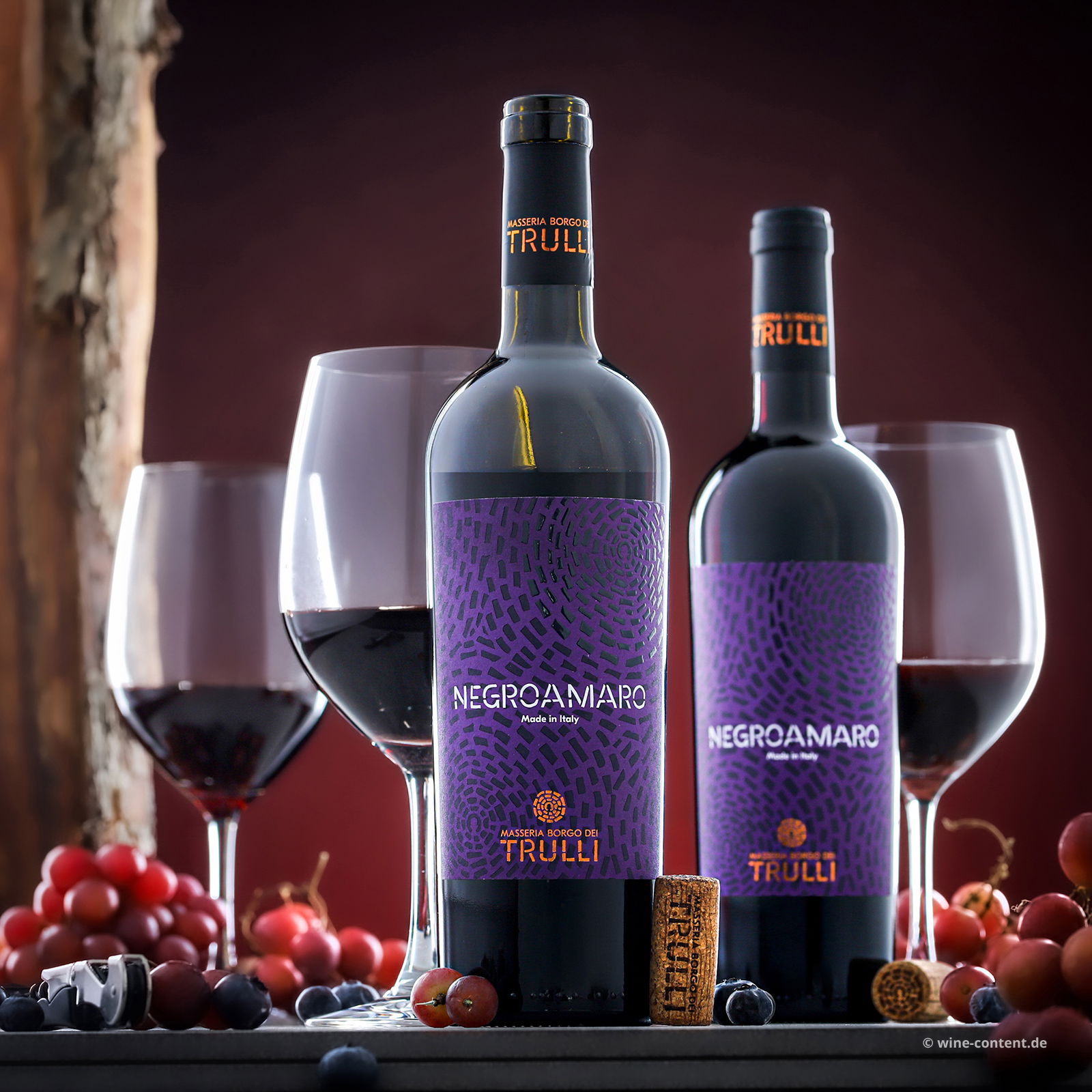 Negroamaro Salento 2025