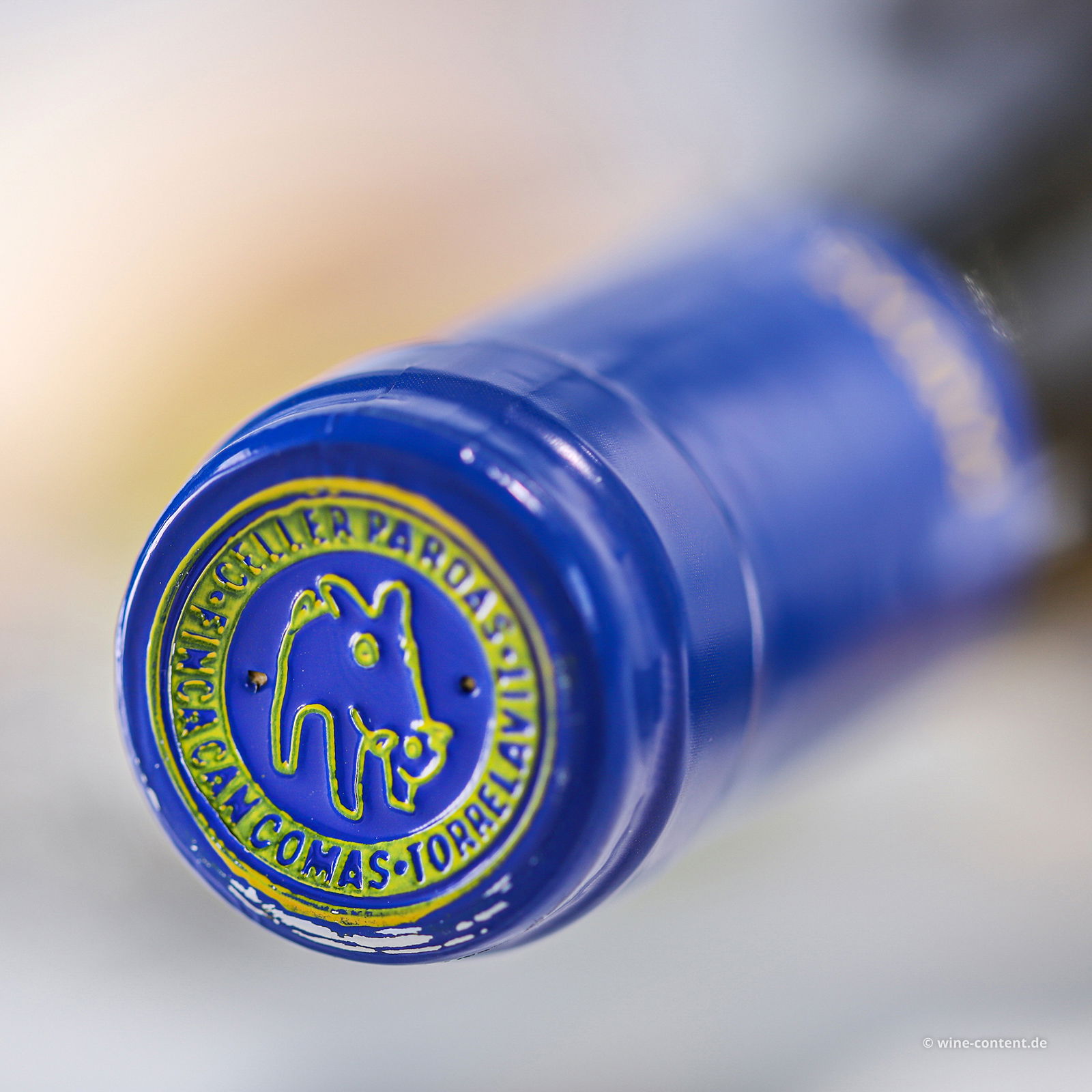 Pell a Pell 2022 Bio