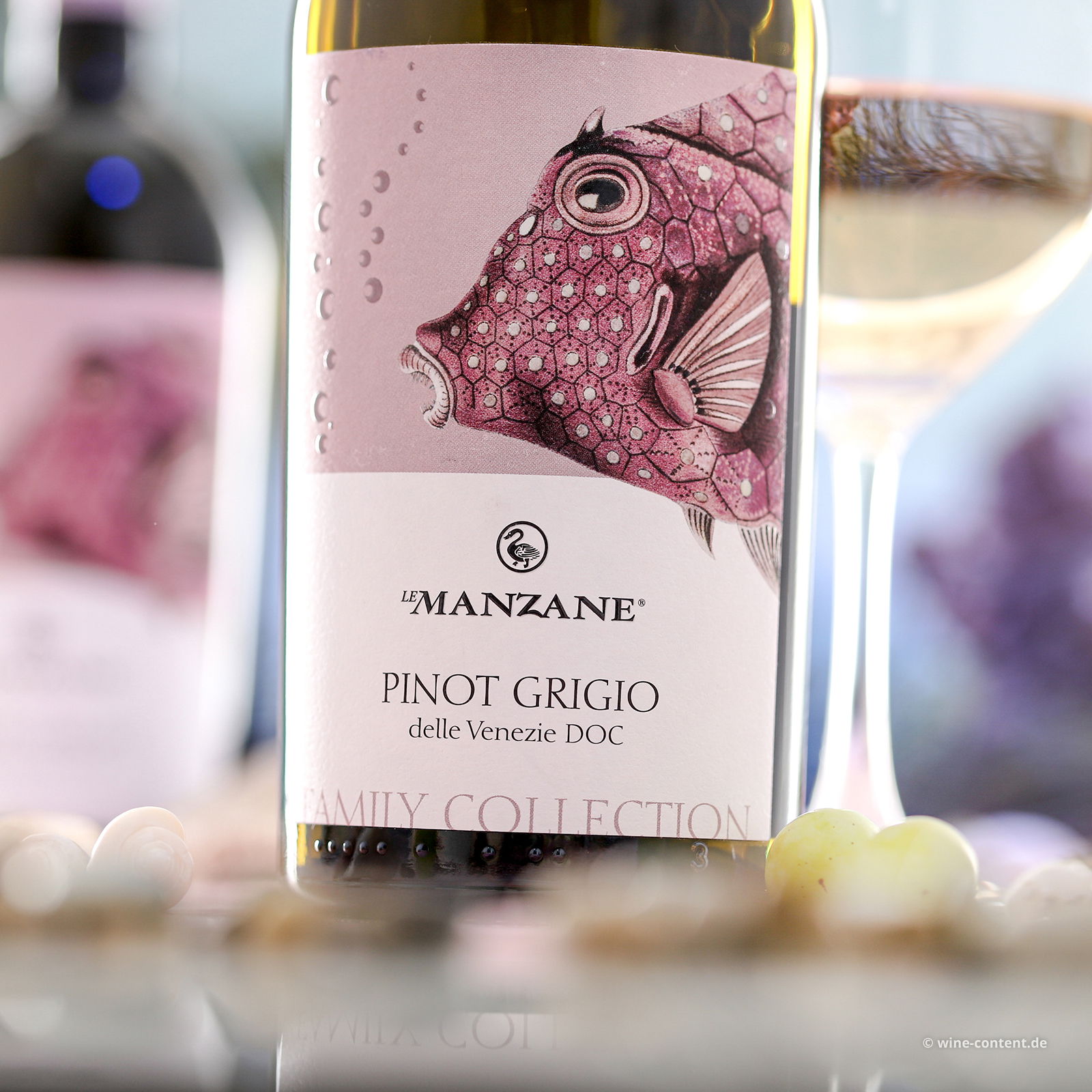 Pinot Grigio delle Venezie 2024