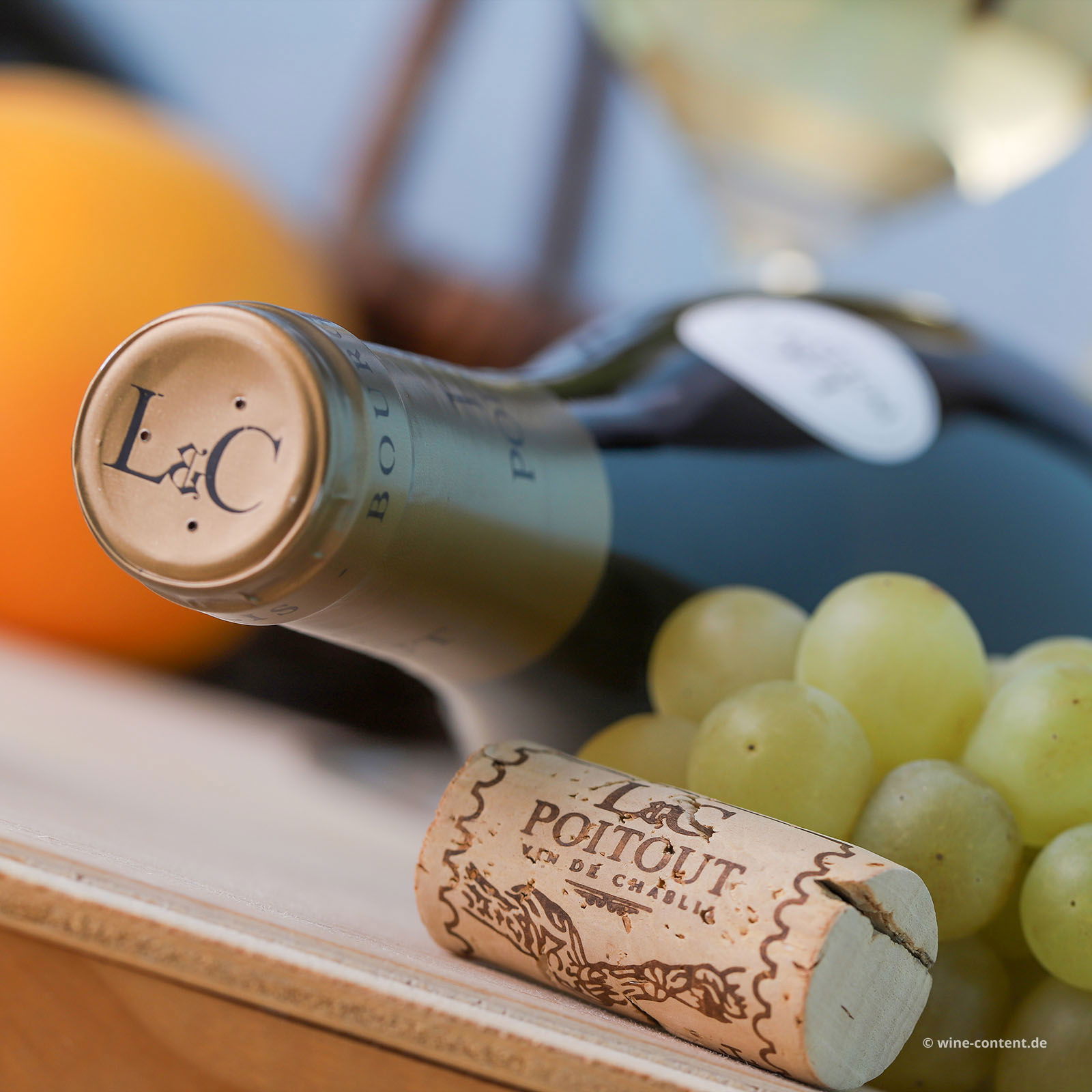 Bourgogne Blanc 2023 Tonnerre