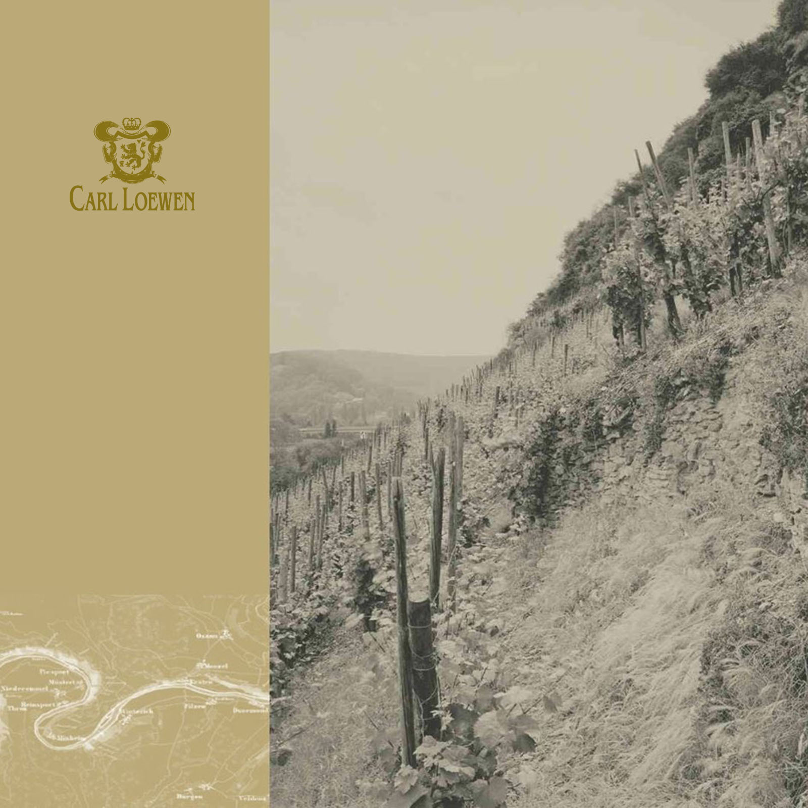 Riesling Erste Lage 2023 Maximin Herrenberg 1896 Black Label