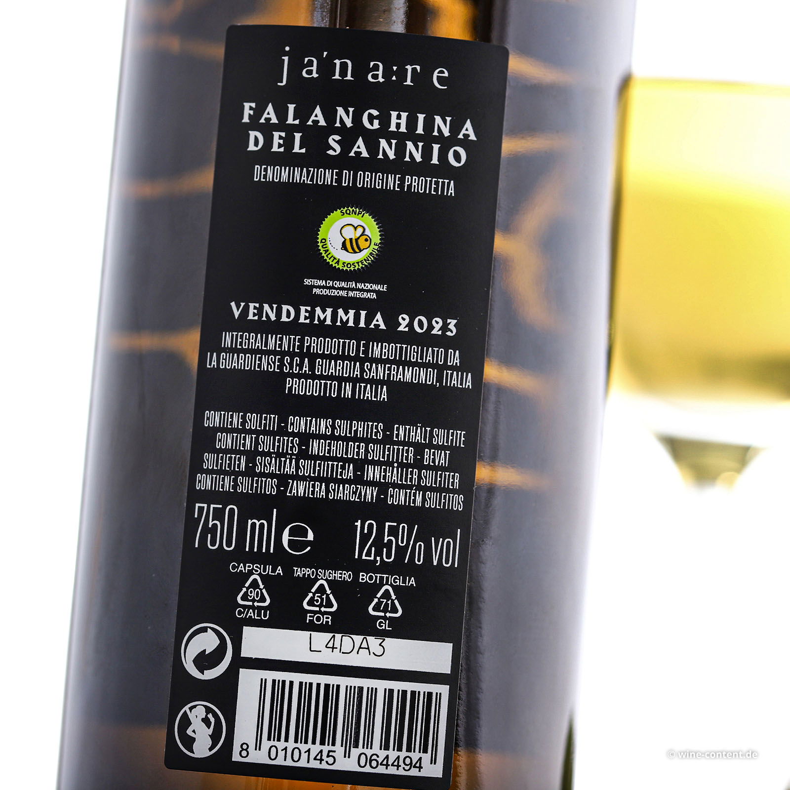 Falanghina del Sannio 2023 Anima Lavica