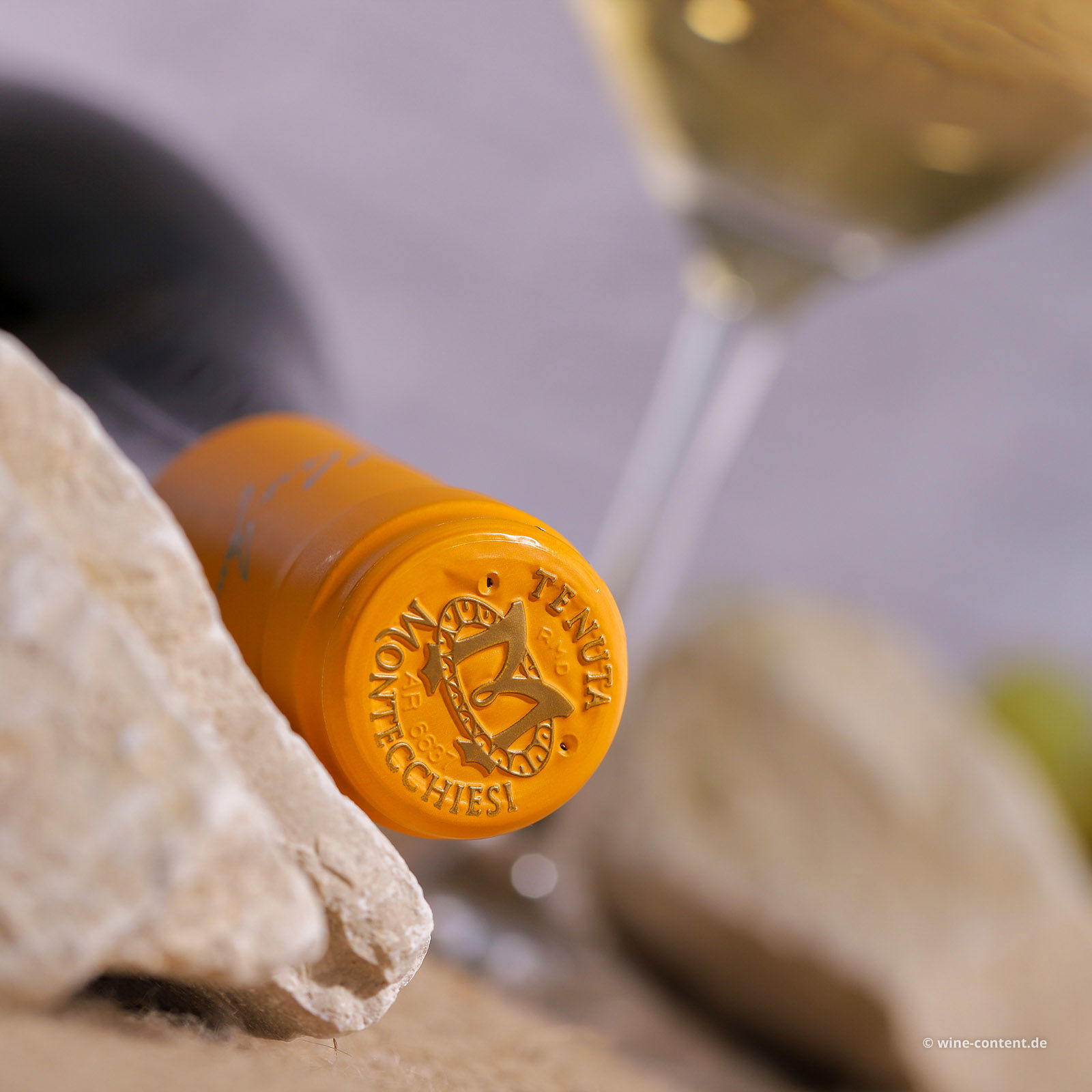 Vermentino-Chardonnay Toscana 2025 Tenuta Montecchiesi