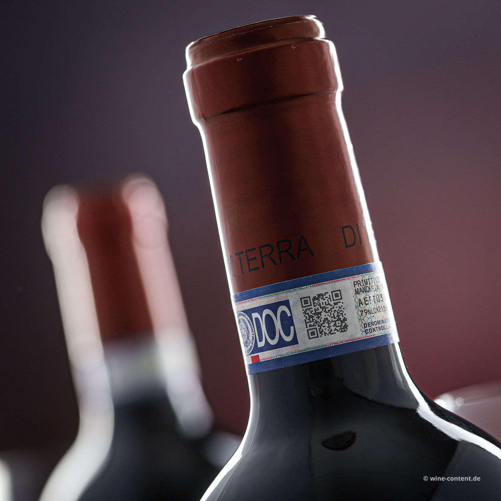 Primitivo di Manduria 2024 di Terra 14,0