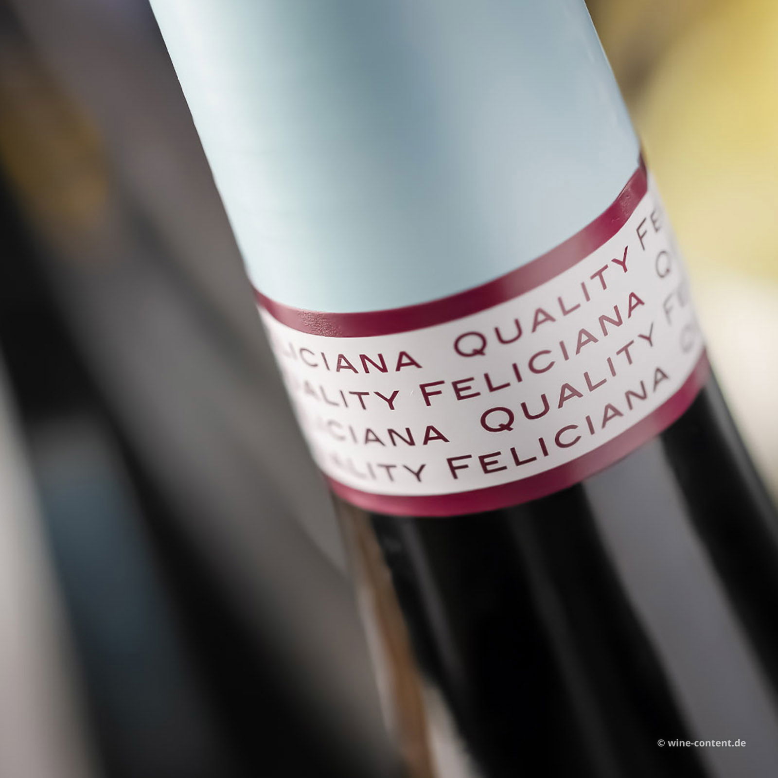 San Martino della Battaglia 2025 Torfel