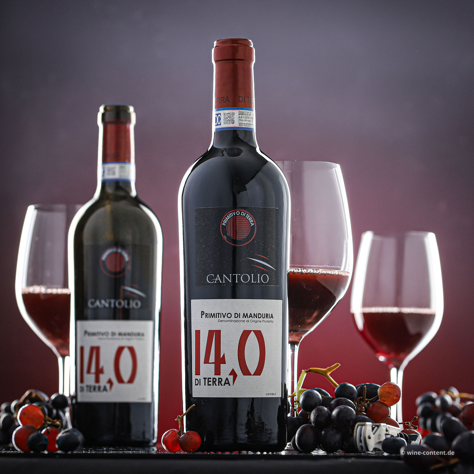 Primitivo di Manduria 2024 di Terra 14,0