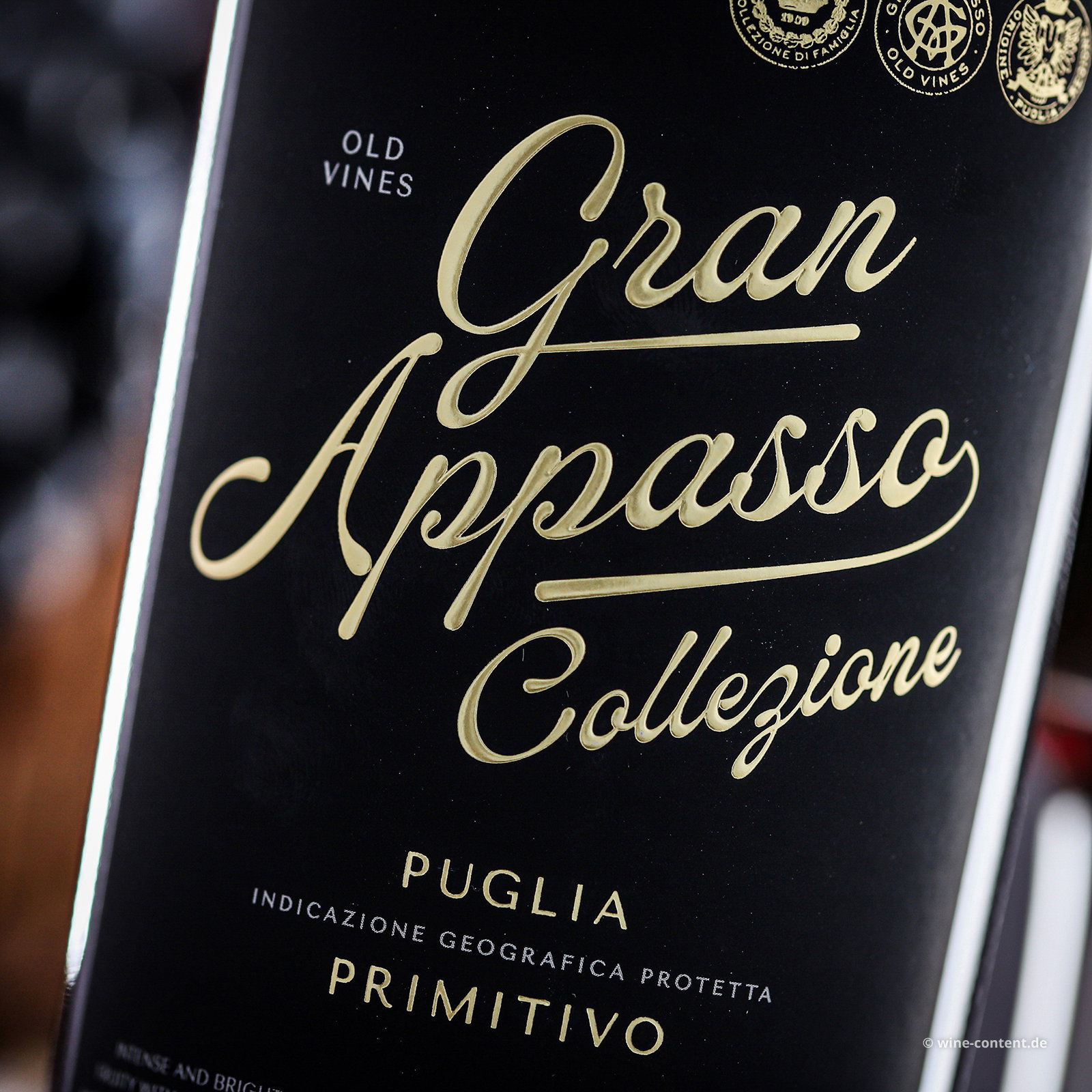 Primitivo 2024 Gran Appasso Collezione