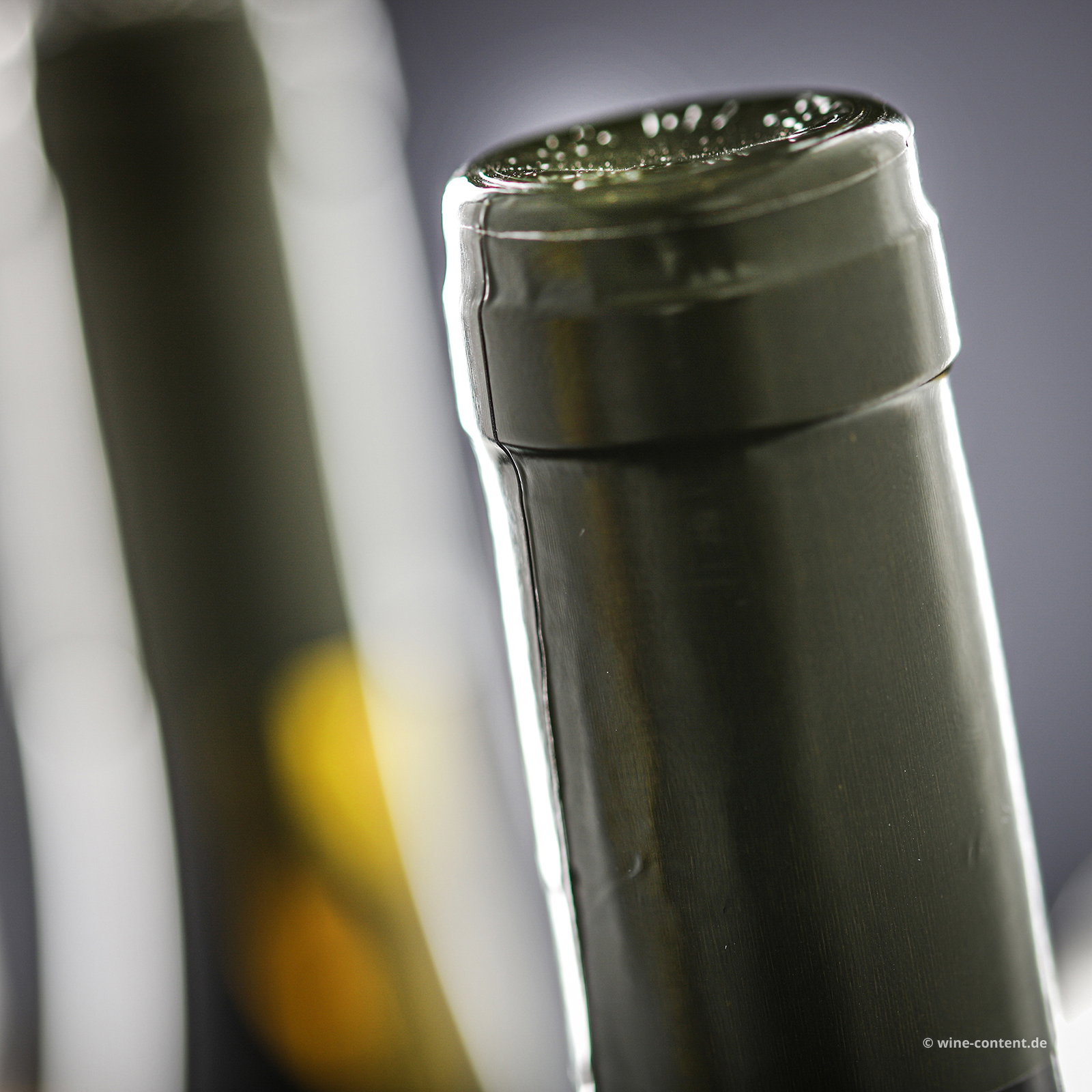 Sauvignon 2024 Sottomonte