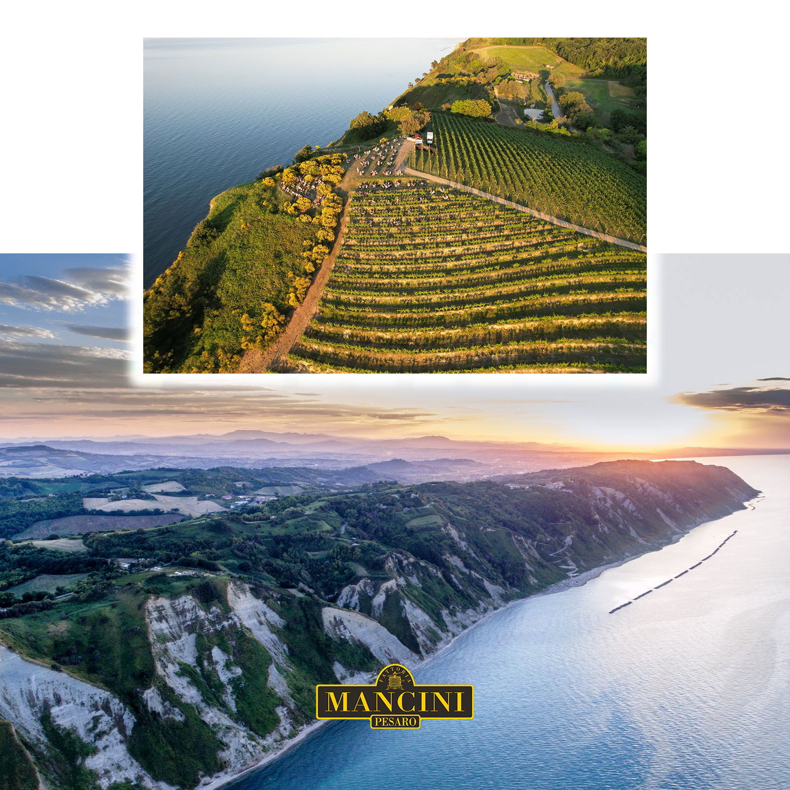 Pinot Noir 2022 Focara