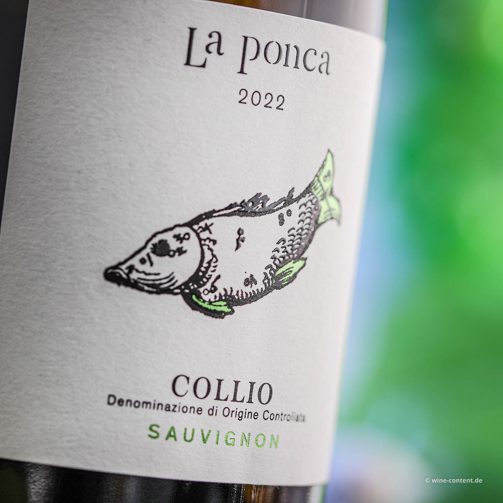 Sauvignon Collio 2022 Bio