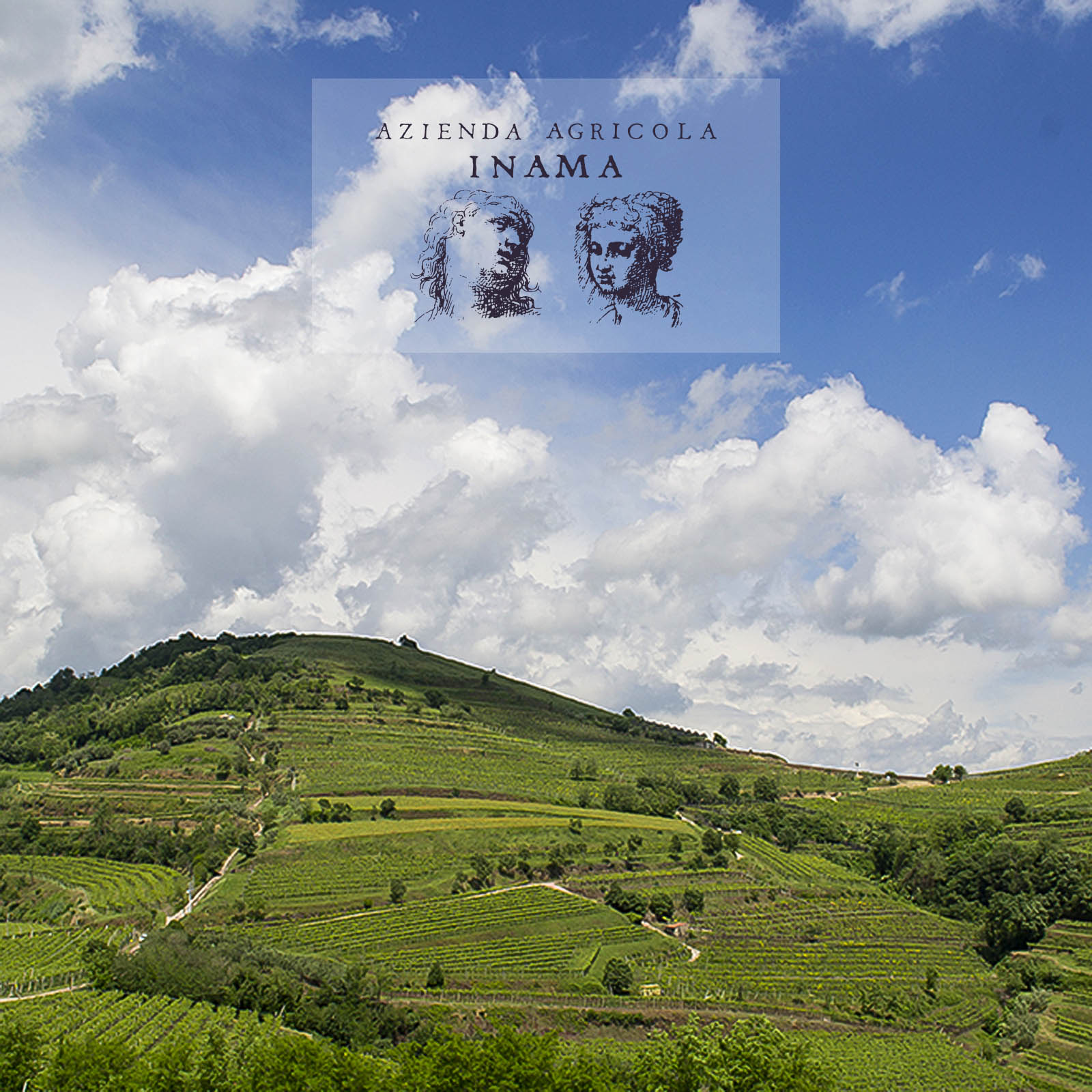 Soave Classico 2021 I Palchi