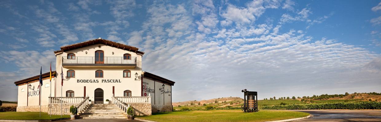 Bodegas Pascual