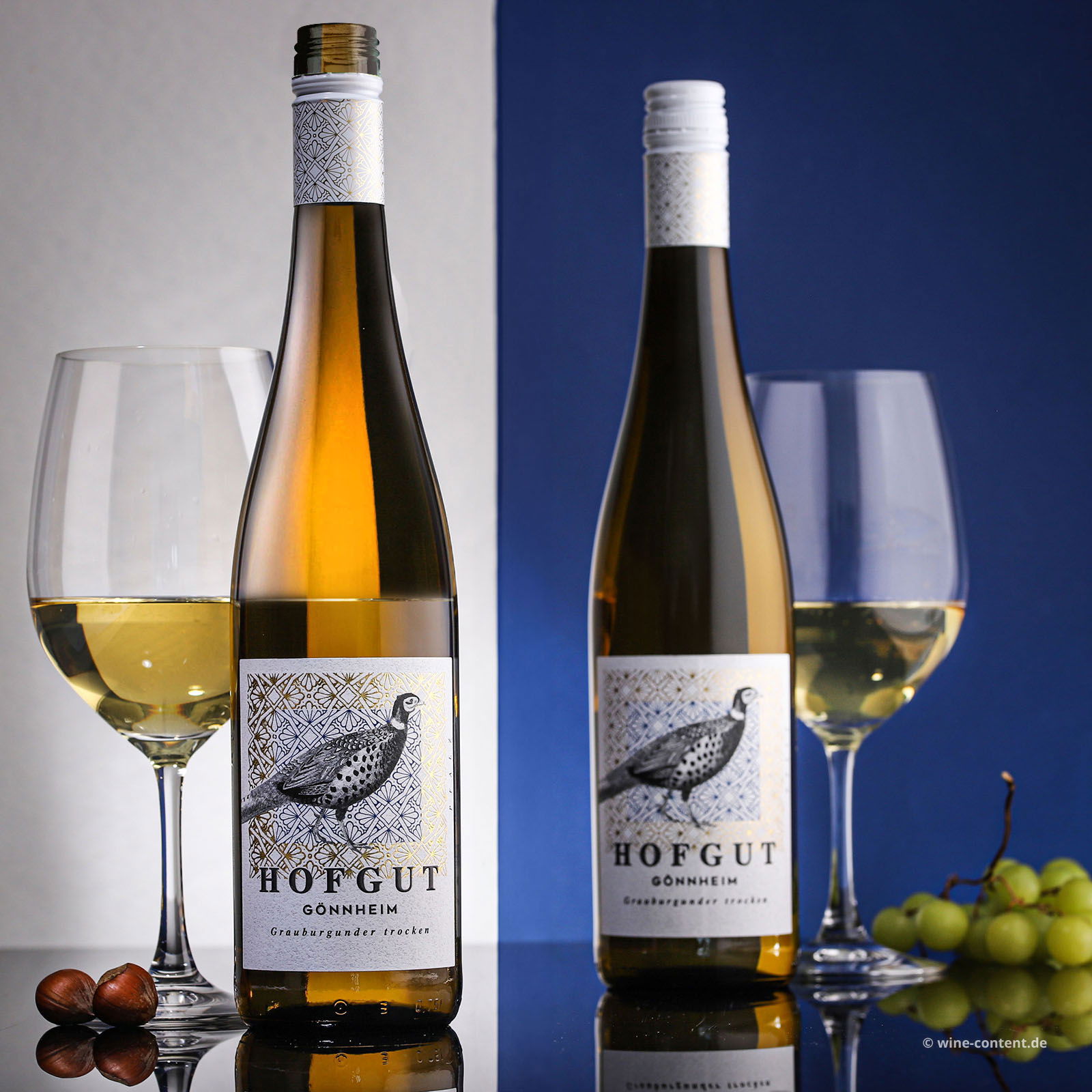 Grauburgunder 2025 Gönnheim Bio