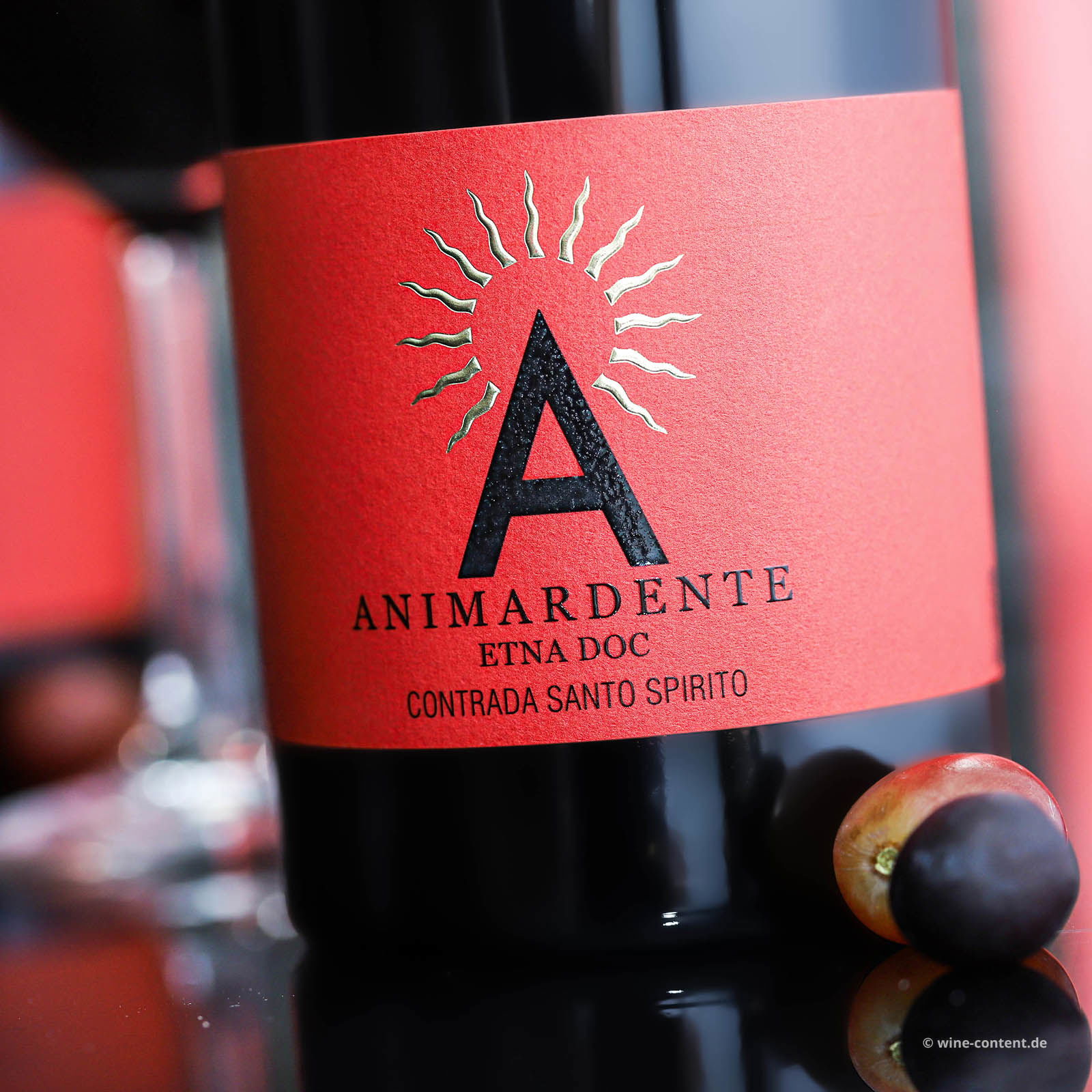 Etna Rosso 2019 Animardente