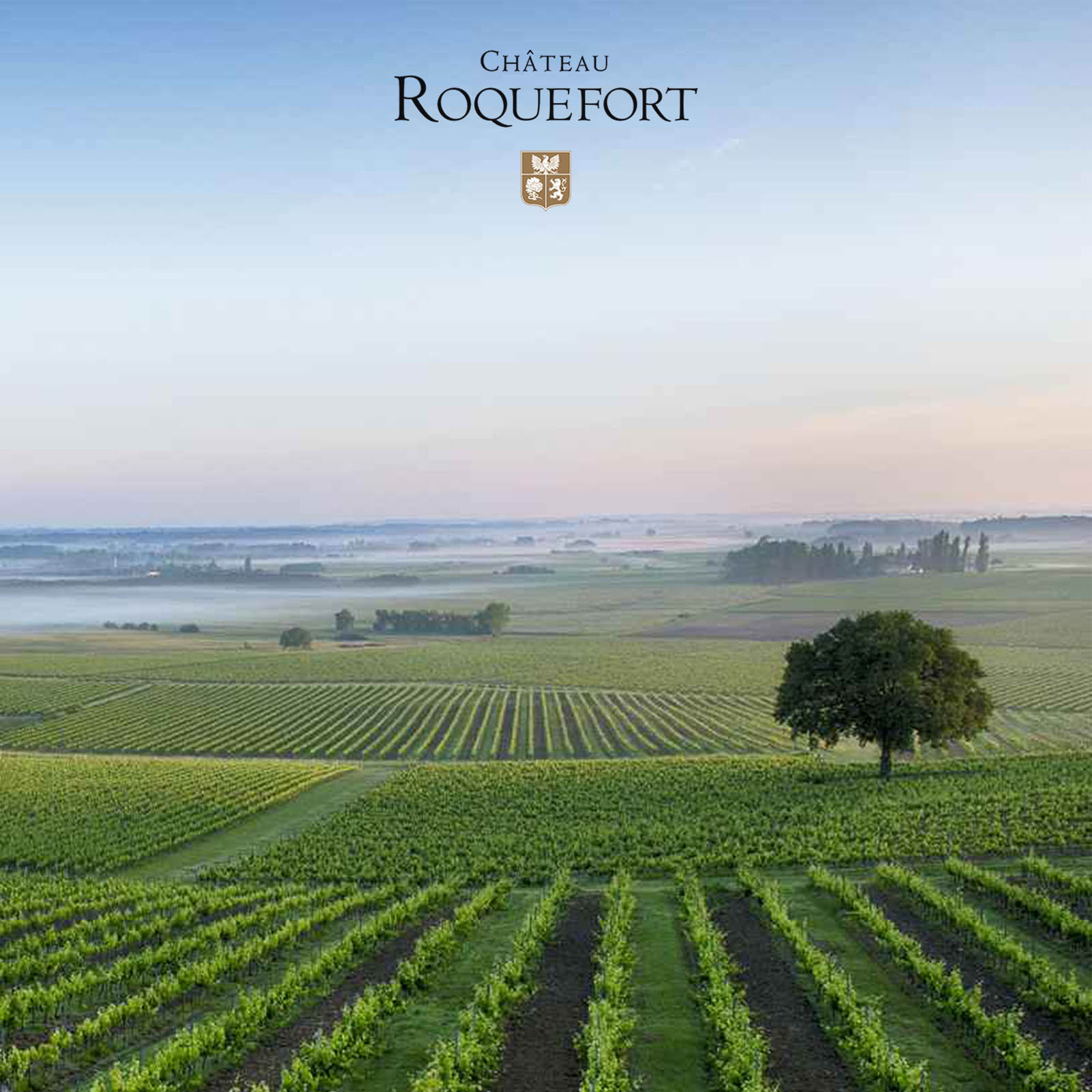 Bordeaux Supérieur 2020 Grande Cuvée