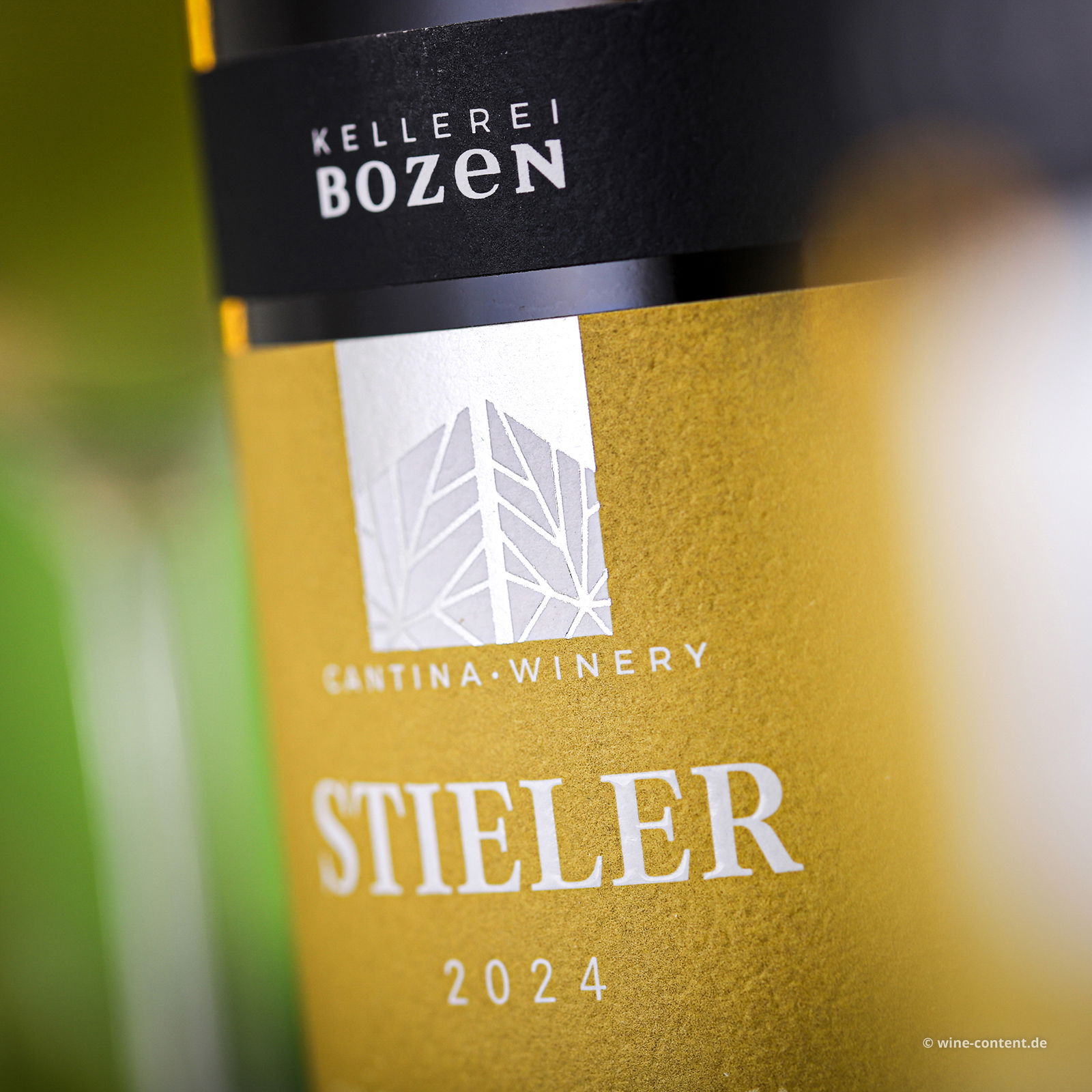 Pinot Grigio 2024 Stieler