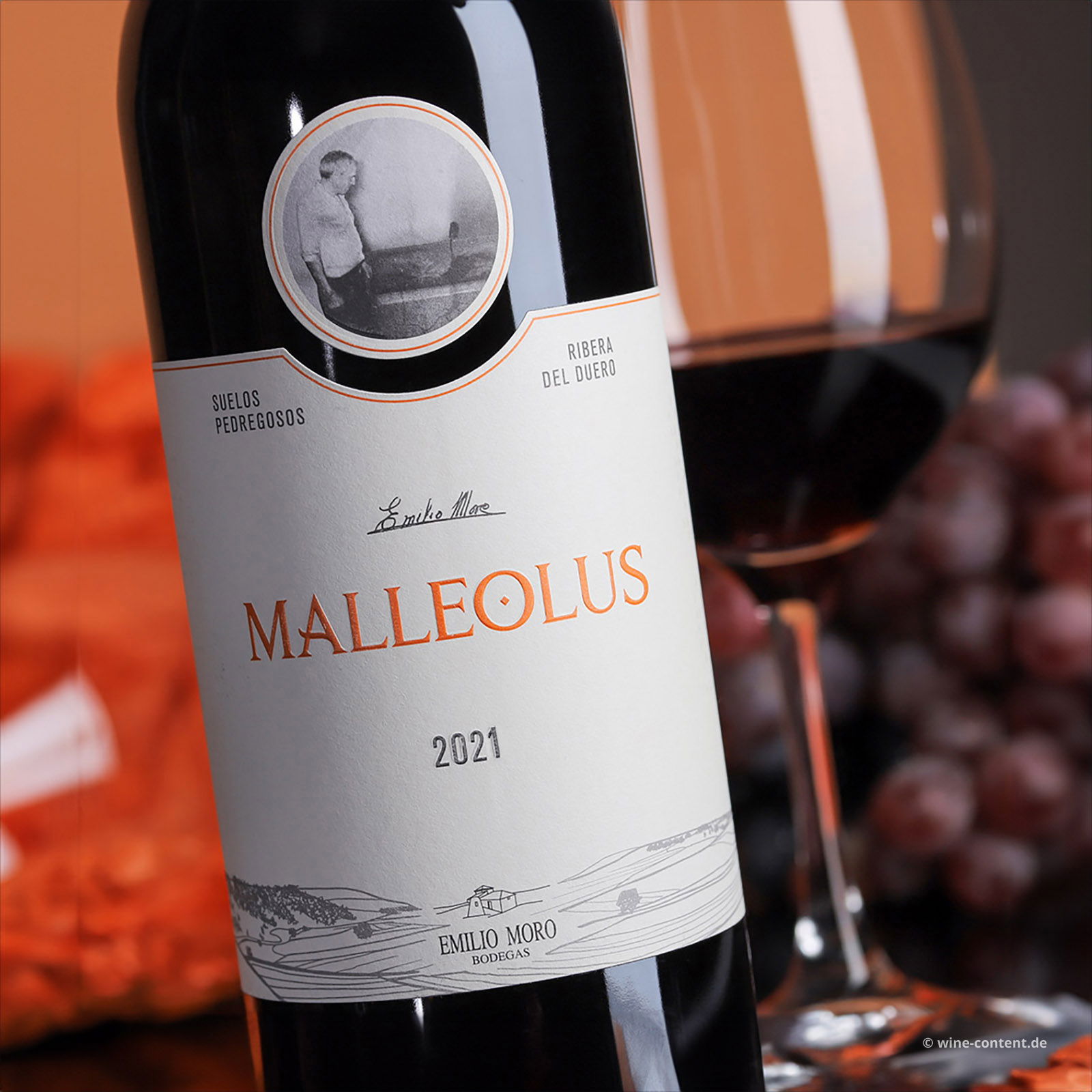 Tempranillo 2021 Malleolus