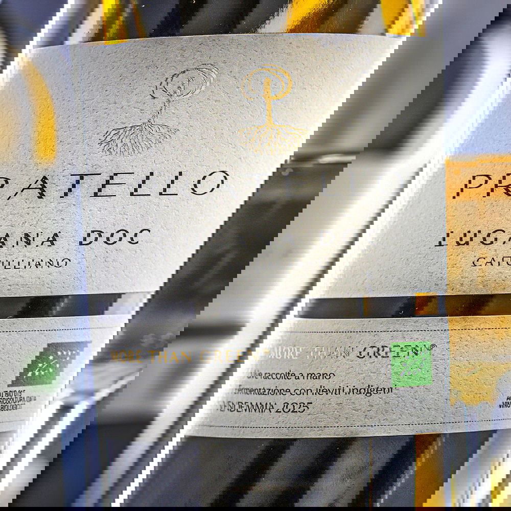 Lugana 2025 Catulliano Bio