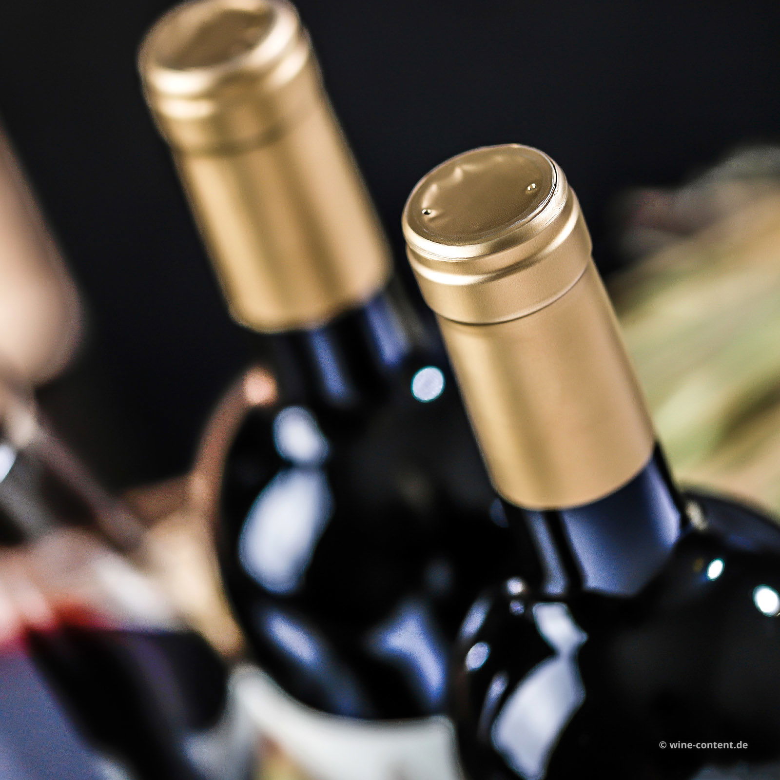 Syrah 2019 Owner's Blend