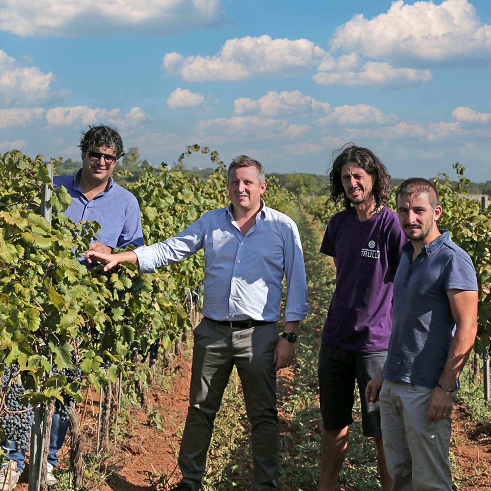 Pinot Grigio Puglia 2024 Bio