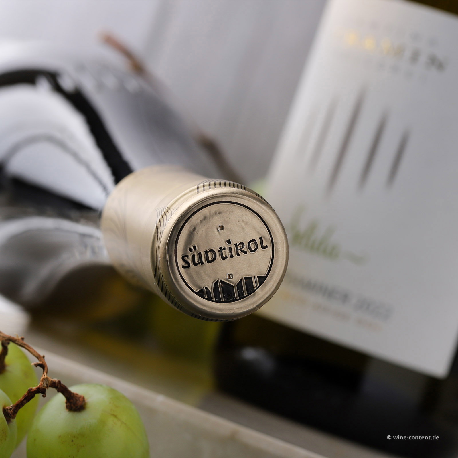 Gewürztraminer 2025 Selida