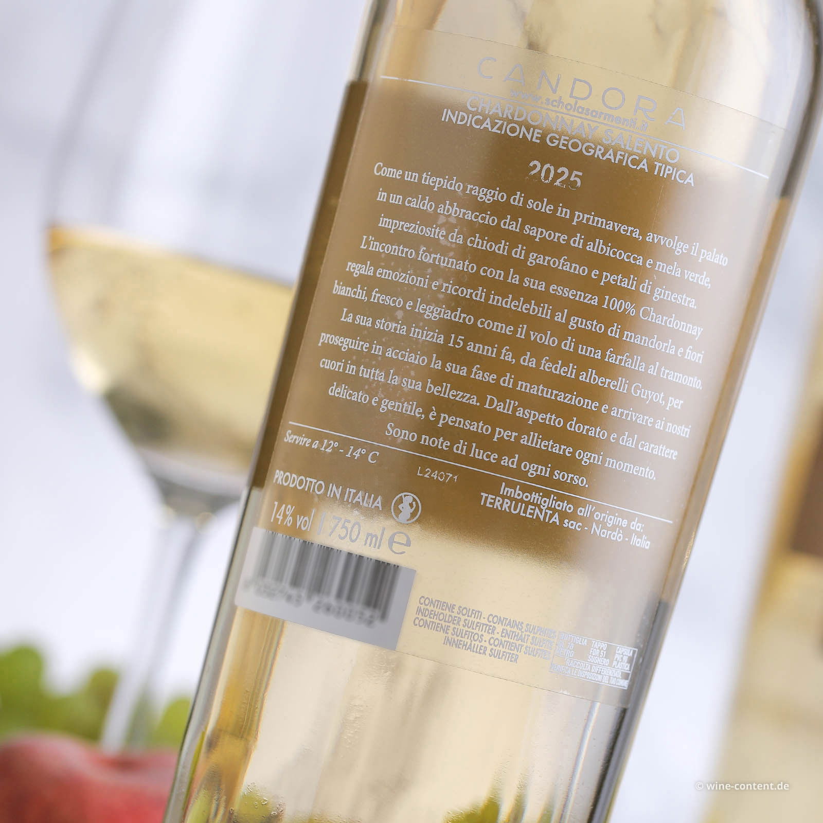 Chardonnay Salento 2025 Candòra