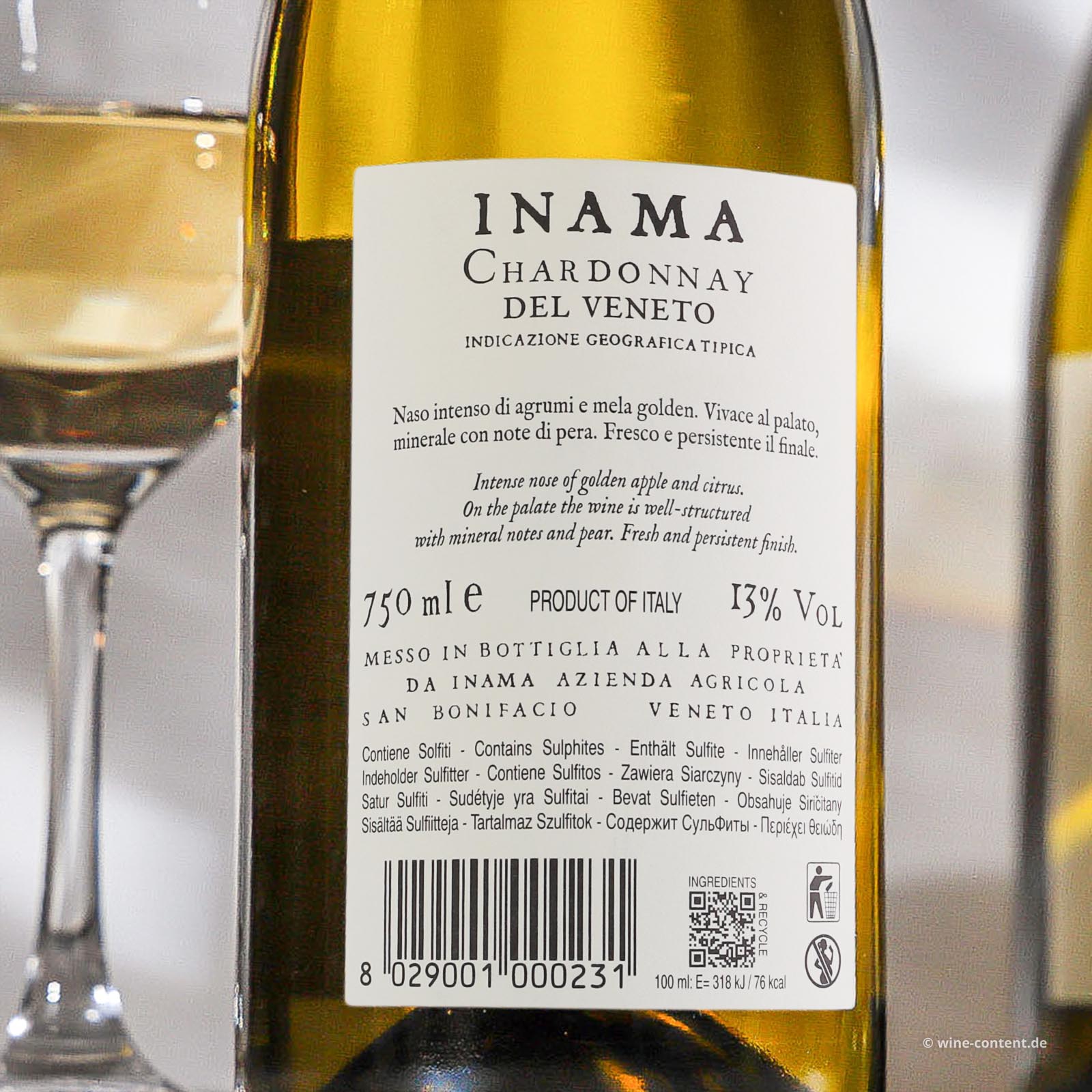 Chardonnay del Veneto 2024