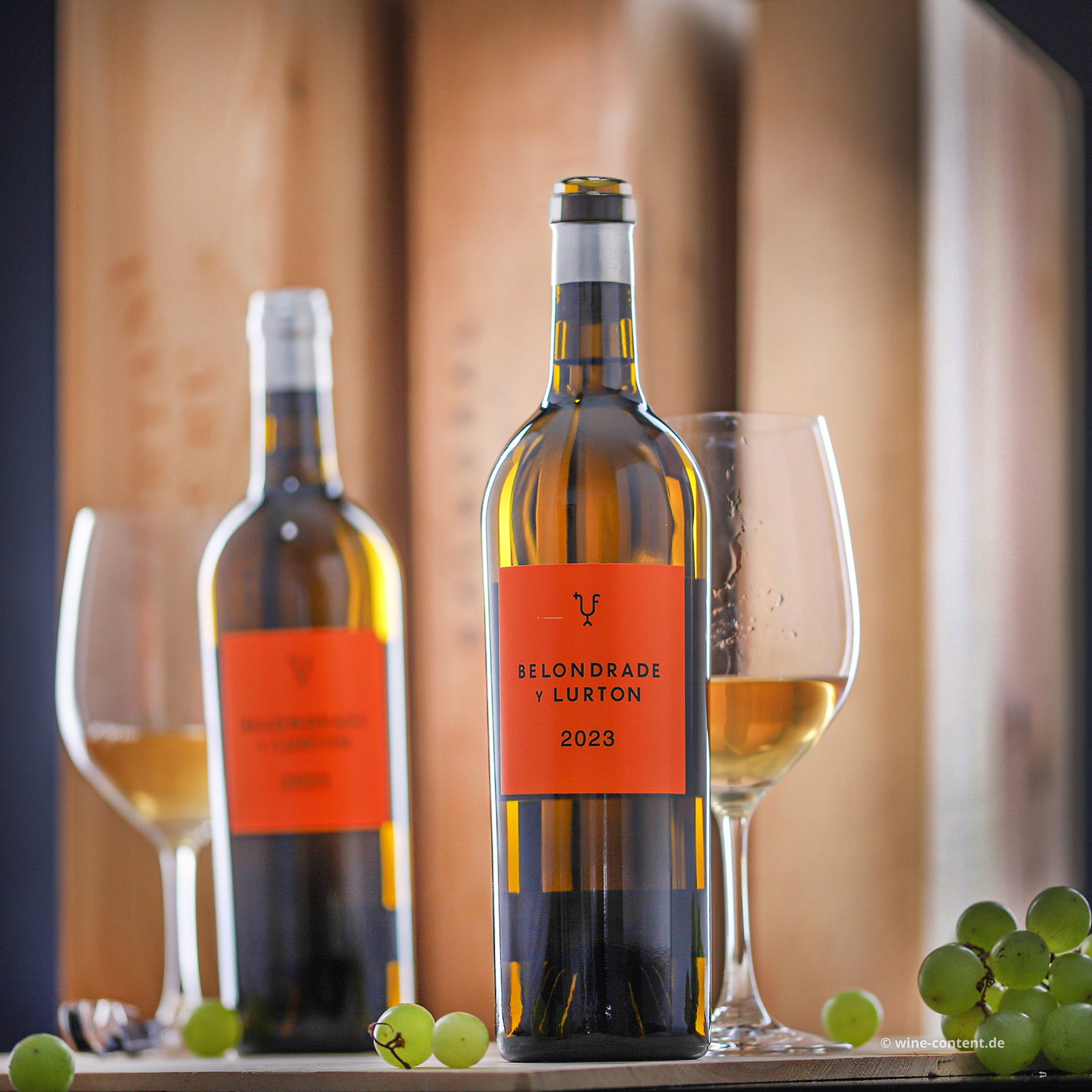 Verdejo 2023 Belondrade y Lurton Bio