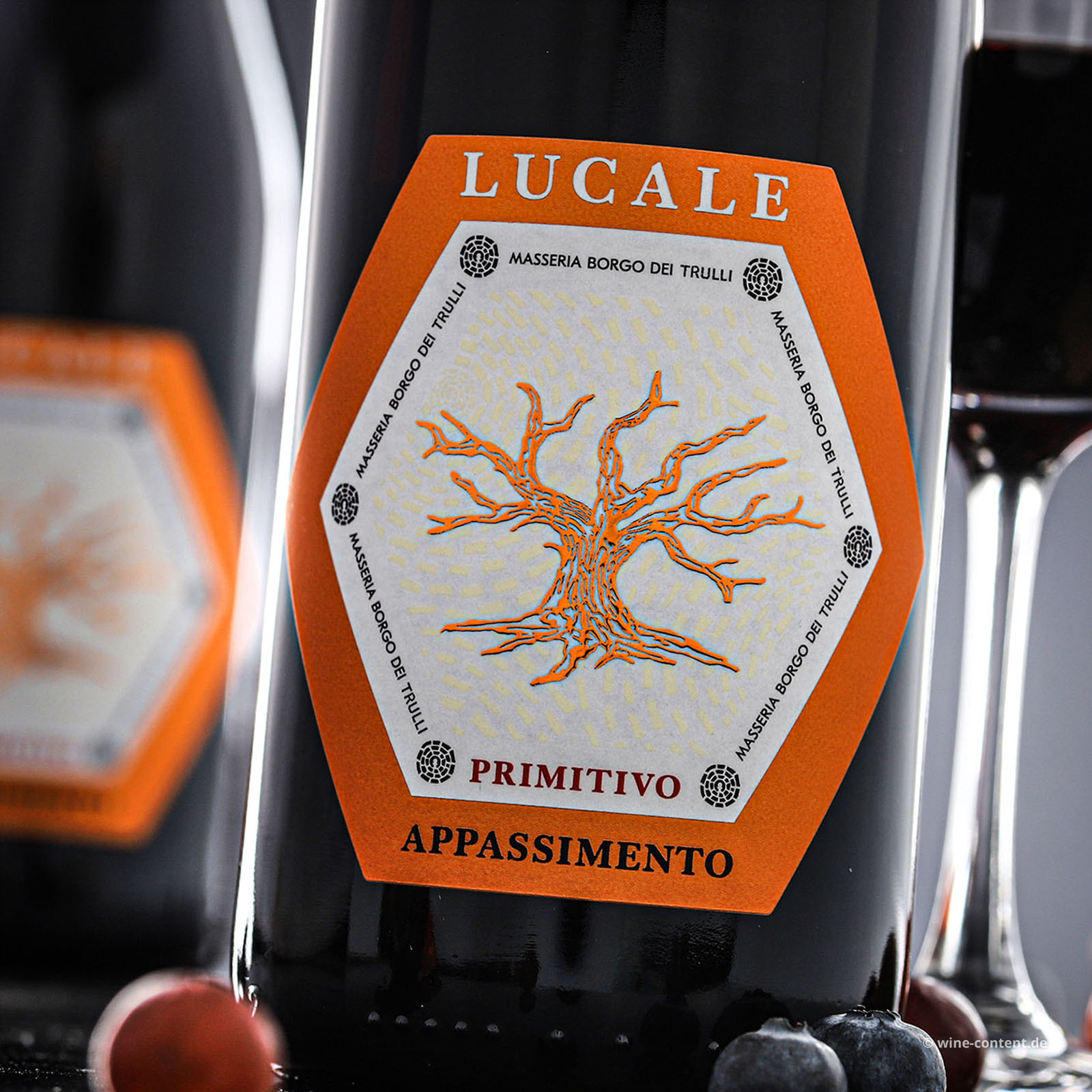 Primitivo Appassimento 2025 Lucale