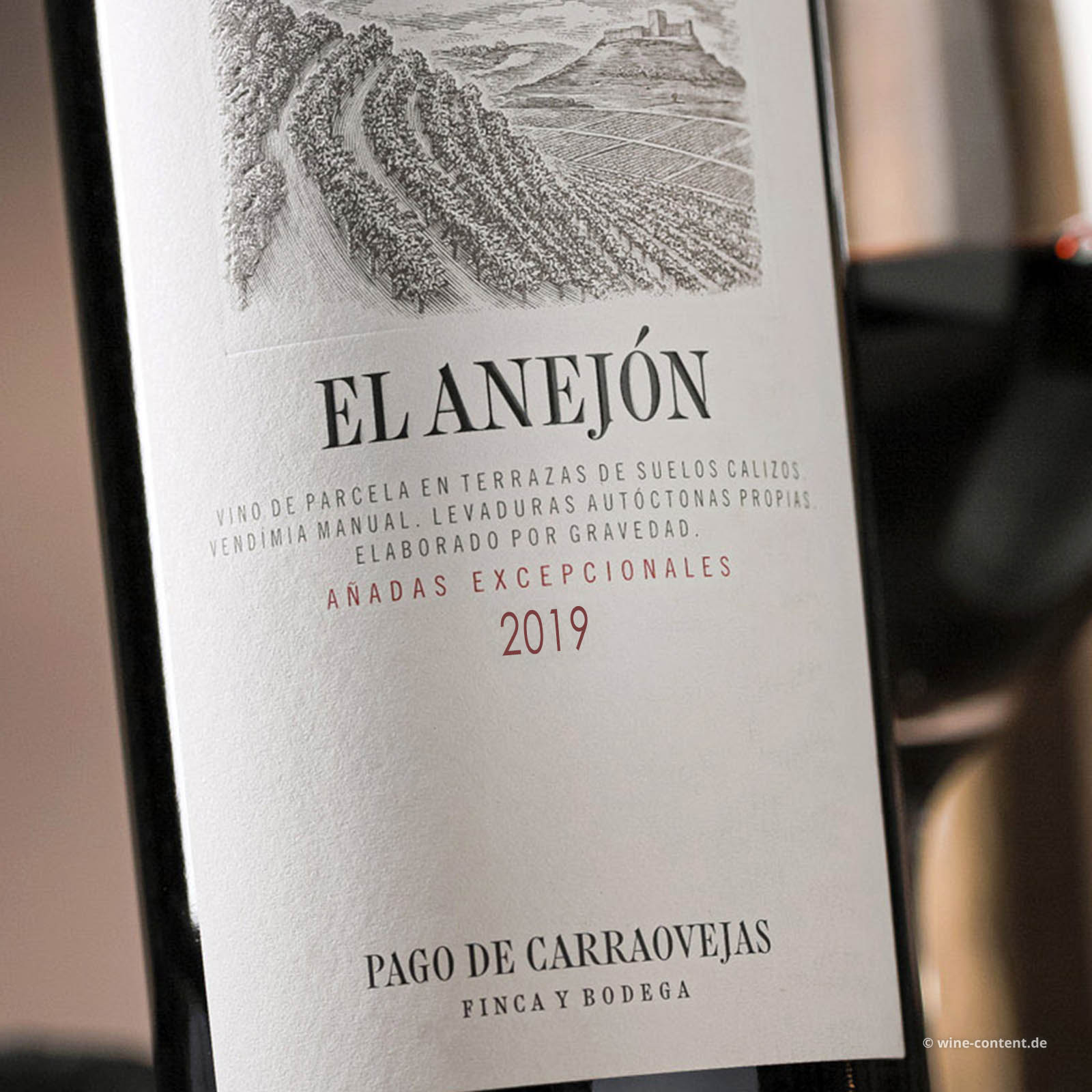 El Anejón 2019 Magnum