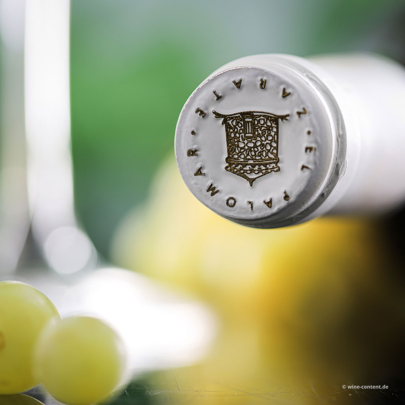 Albariño 2023 El Palomar