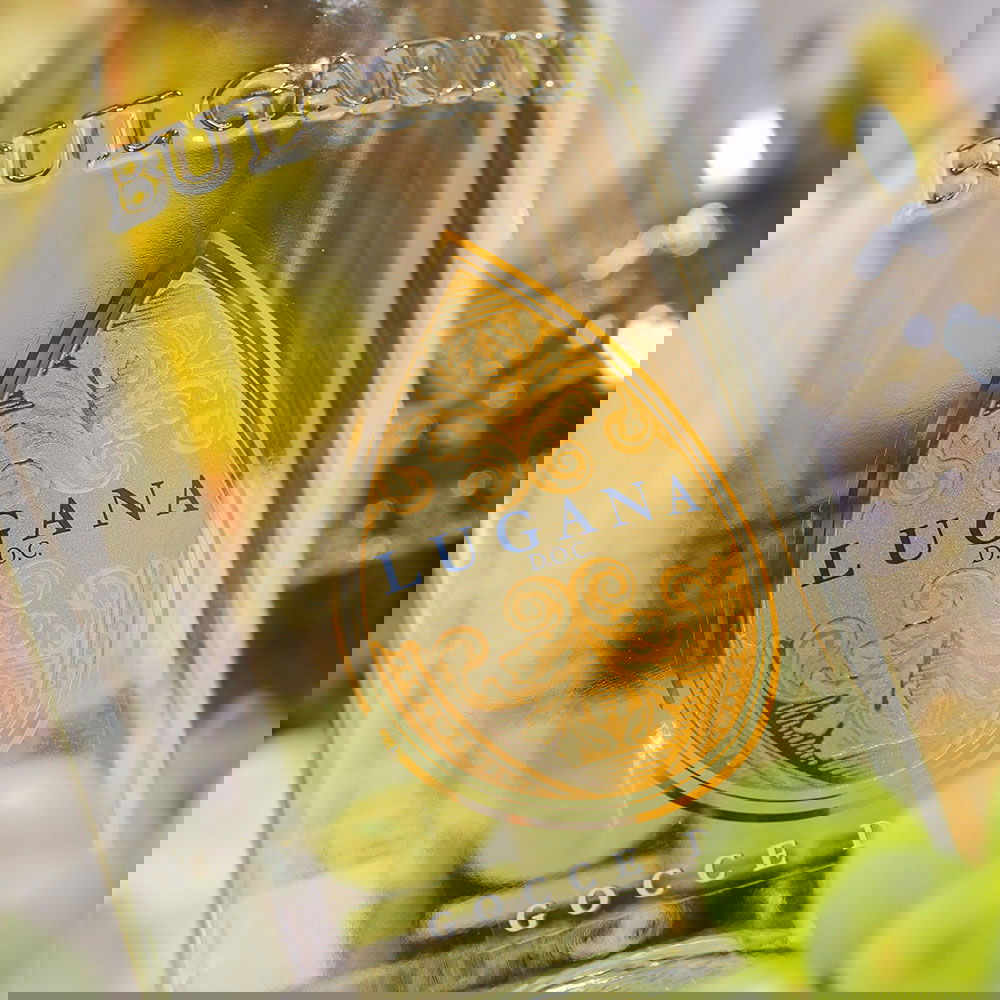 Lugana 2024 Gocce d'Oro