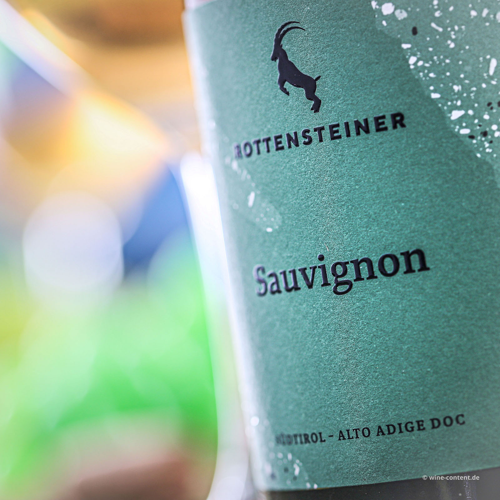 Sauvignon Blanc 2025